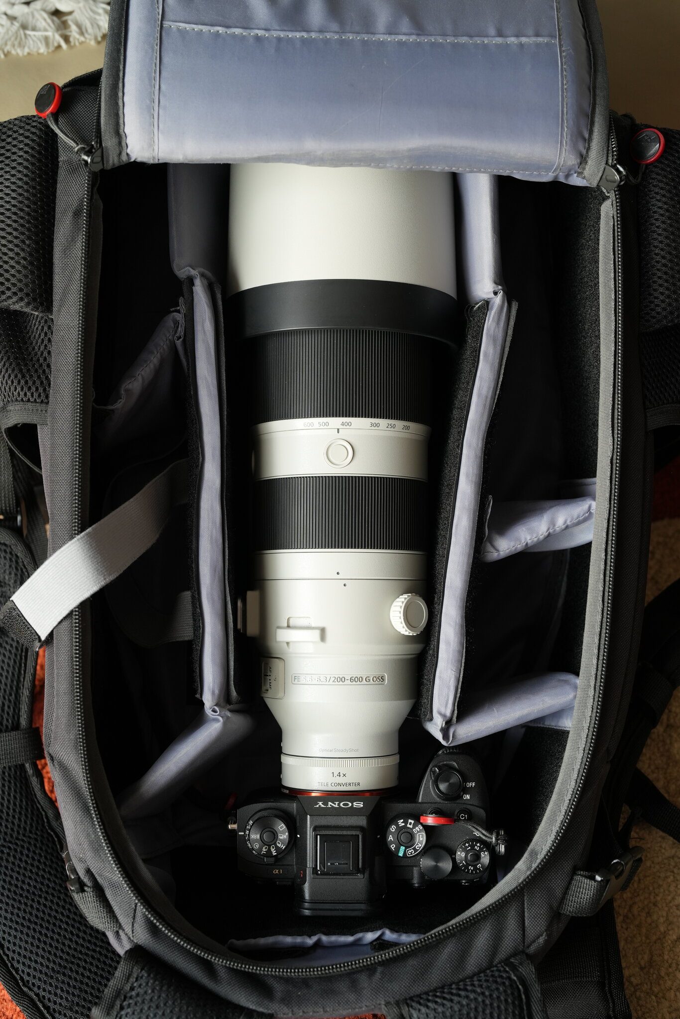 200-600+14TC+A1.JPG