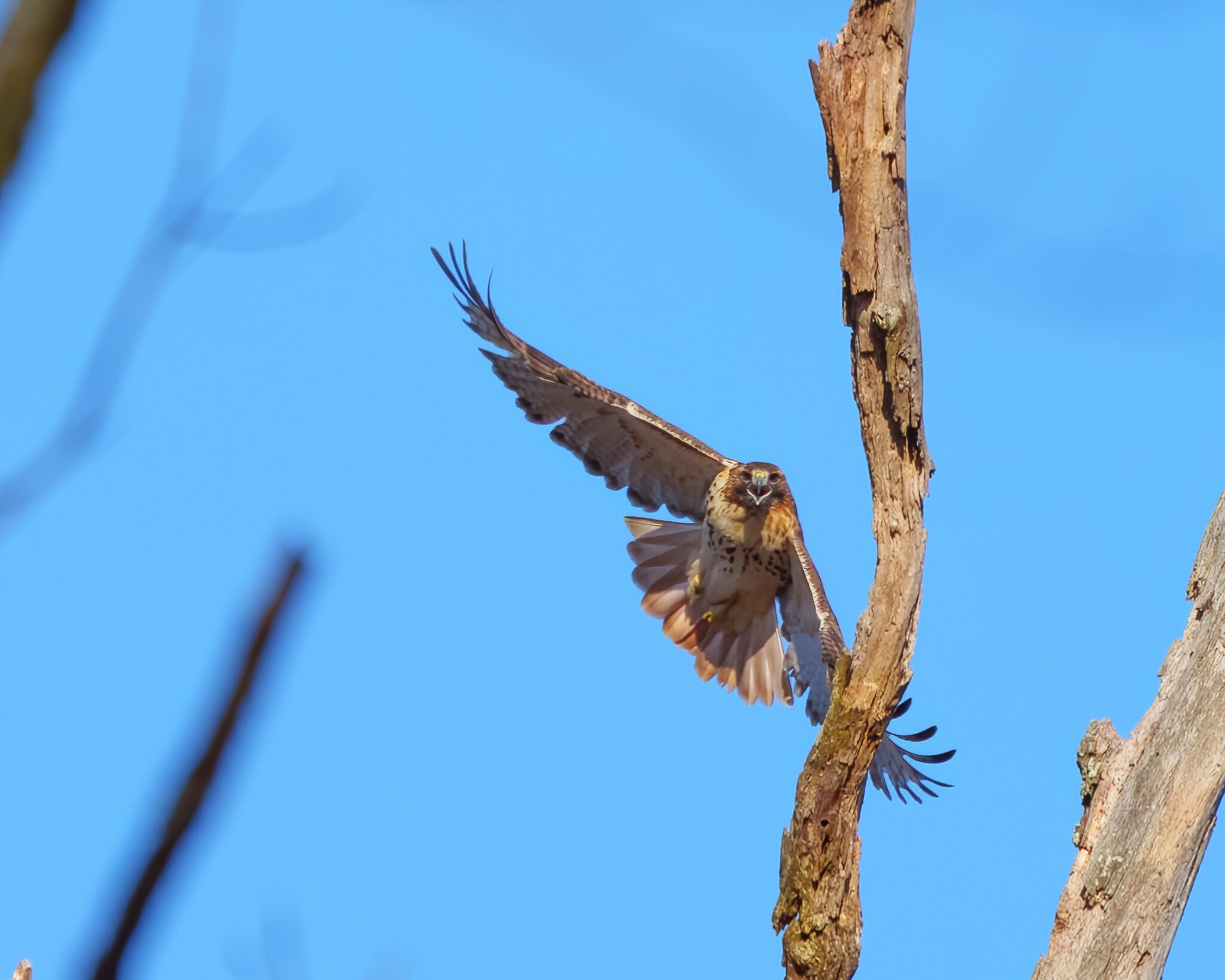 20221225-DSC05118-2.jpg
