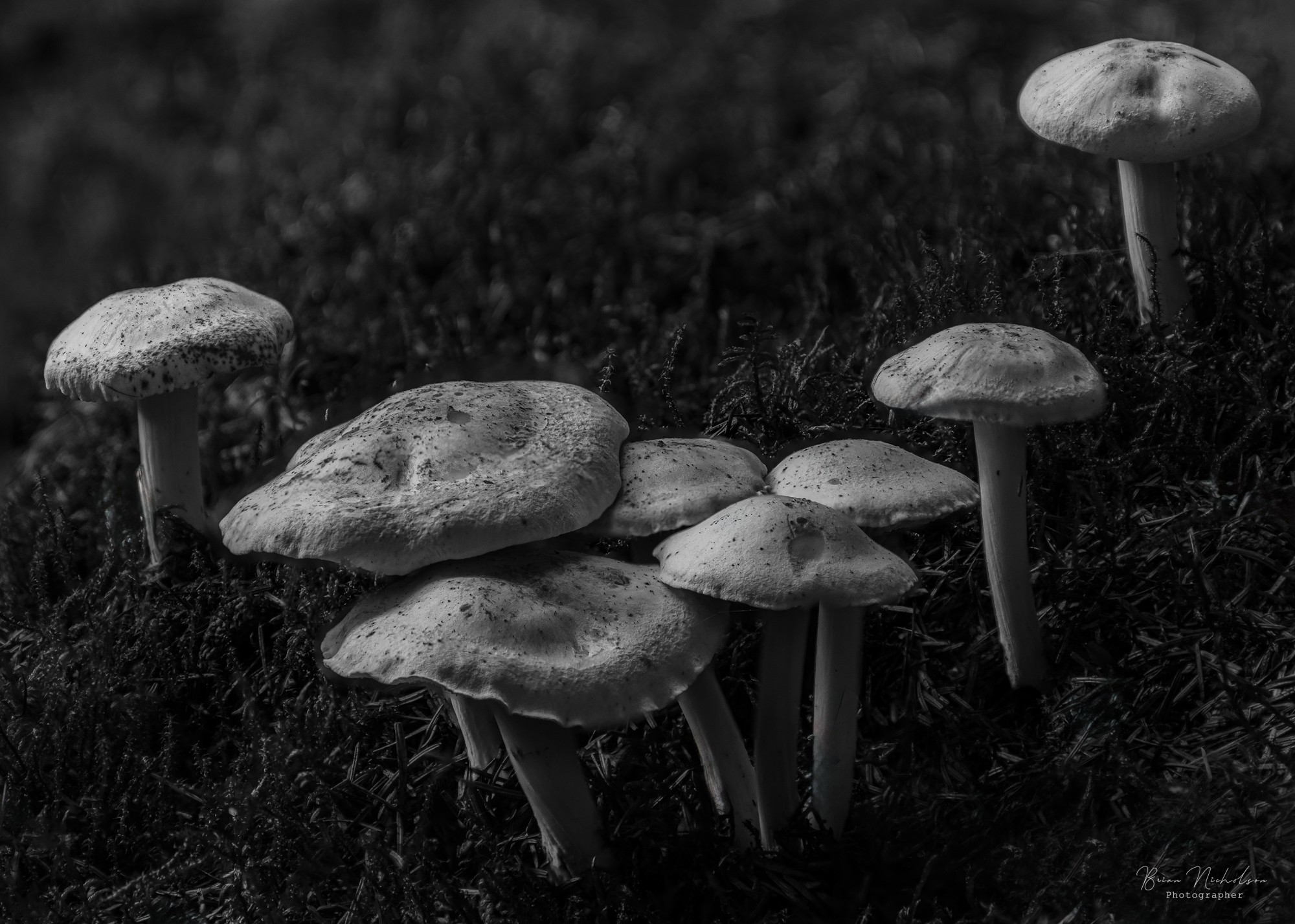 20230822-_DSC8866-Edit.jpg