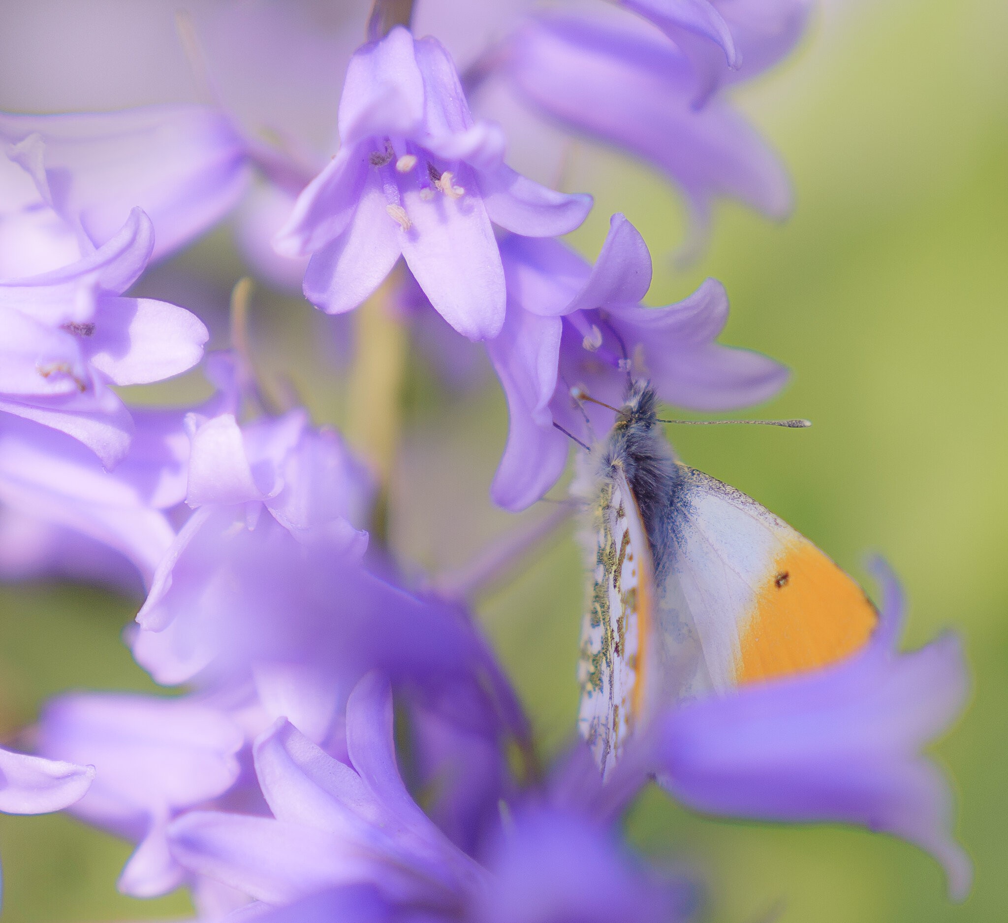 20240517-DSC00893-Edit.jpg
