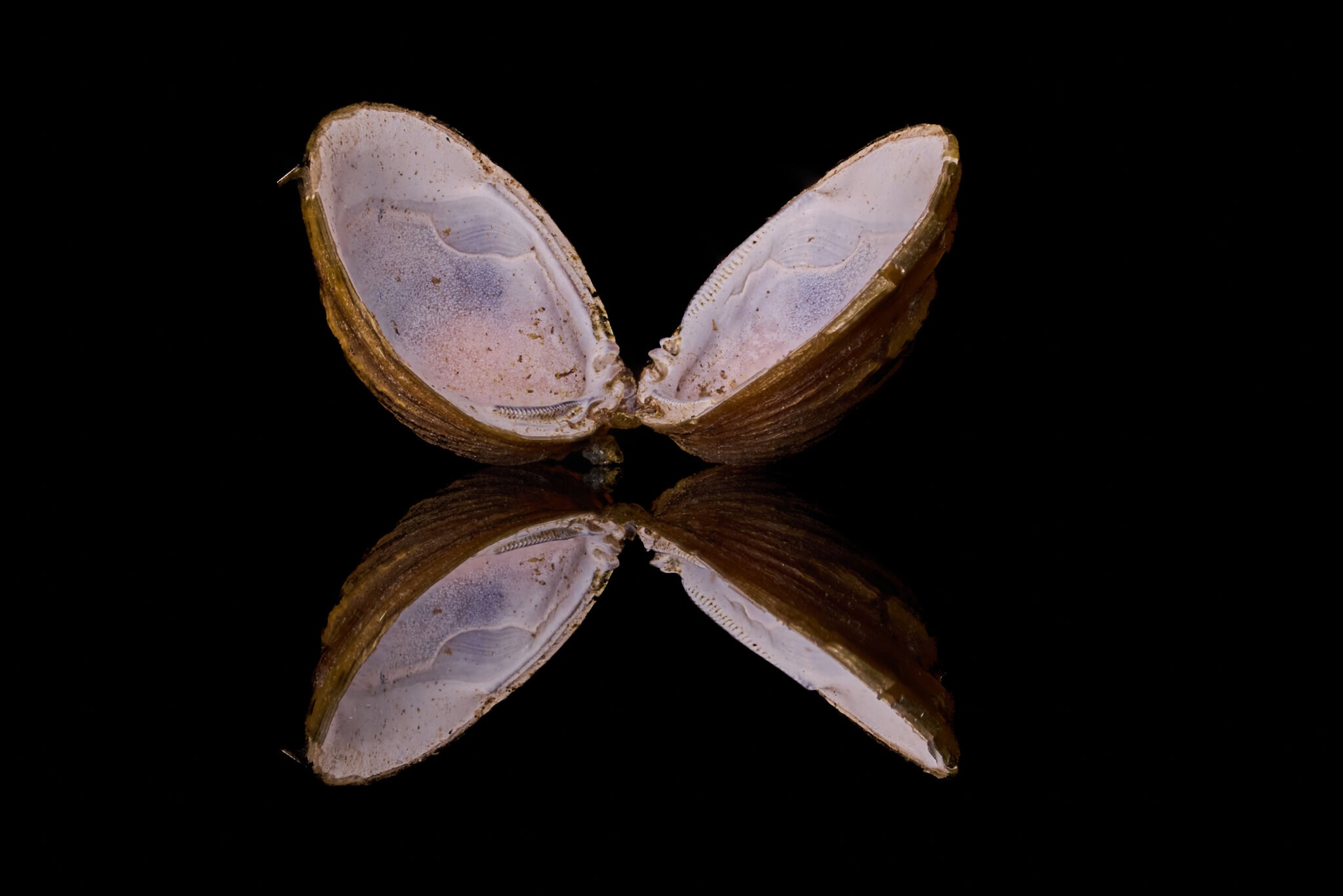 2026-03-18 20-22-39 (B,R8,S4)_1.jpg