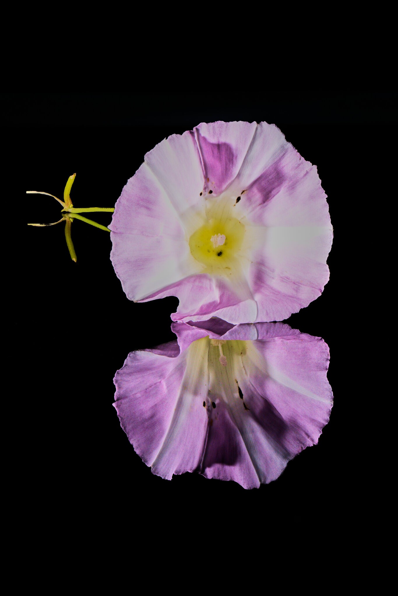 2026-07-26 10-30-03 (B,R8,S4)_1.jpg