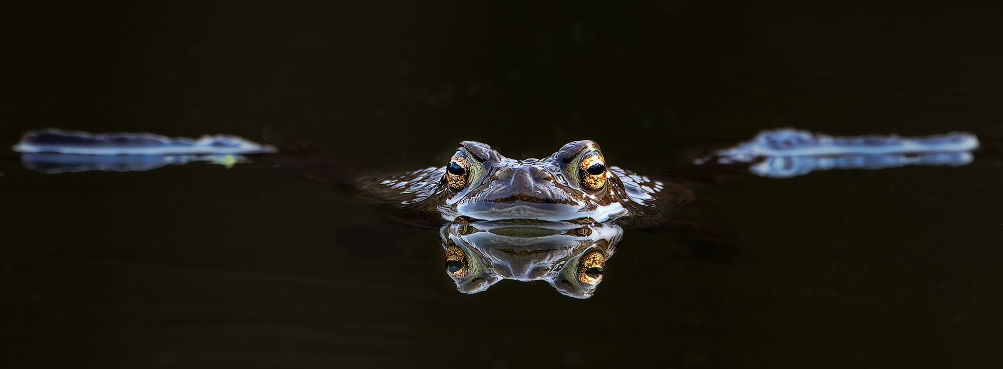 20260321-DSC02523-DxO_DeepPRIME XD2s-Edit-Edit.jpg