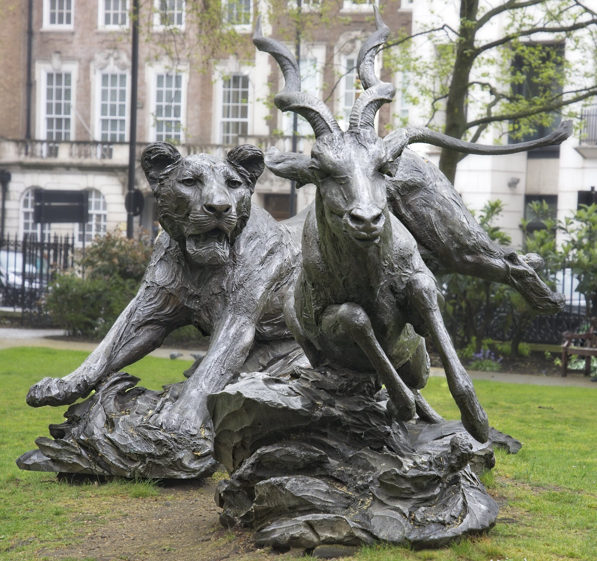 25A00881LONDON lioness kudu.jpg