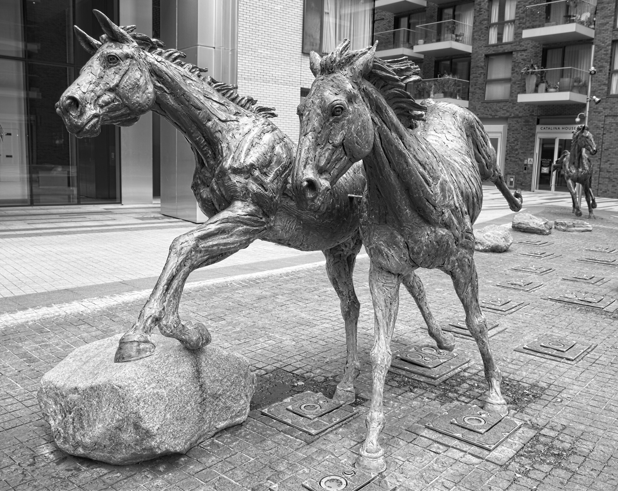 25A00895LONDON goodmans horses.jpg