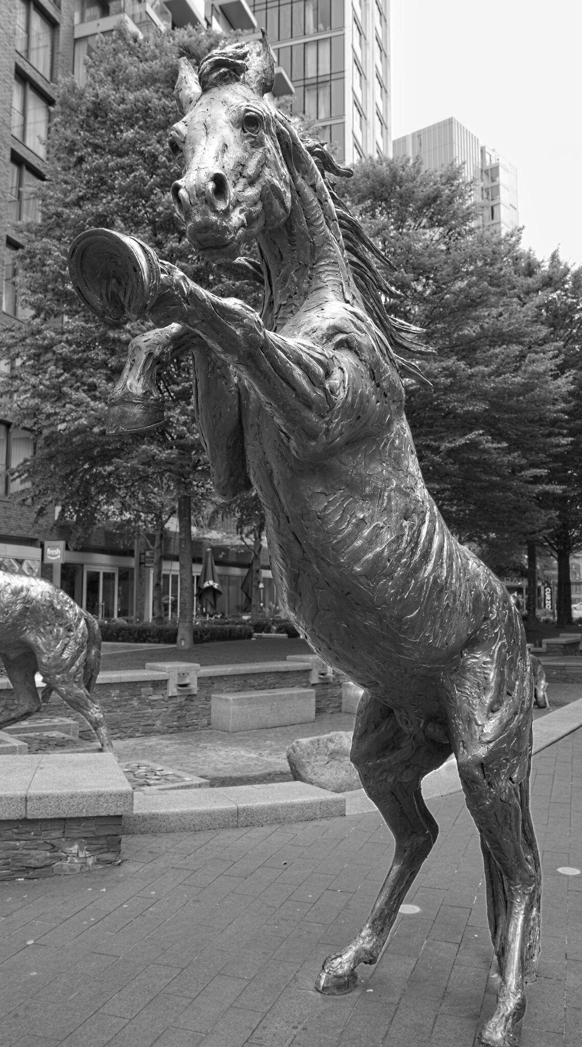 25A00898LONDON goodmans horses.jpg