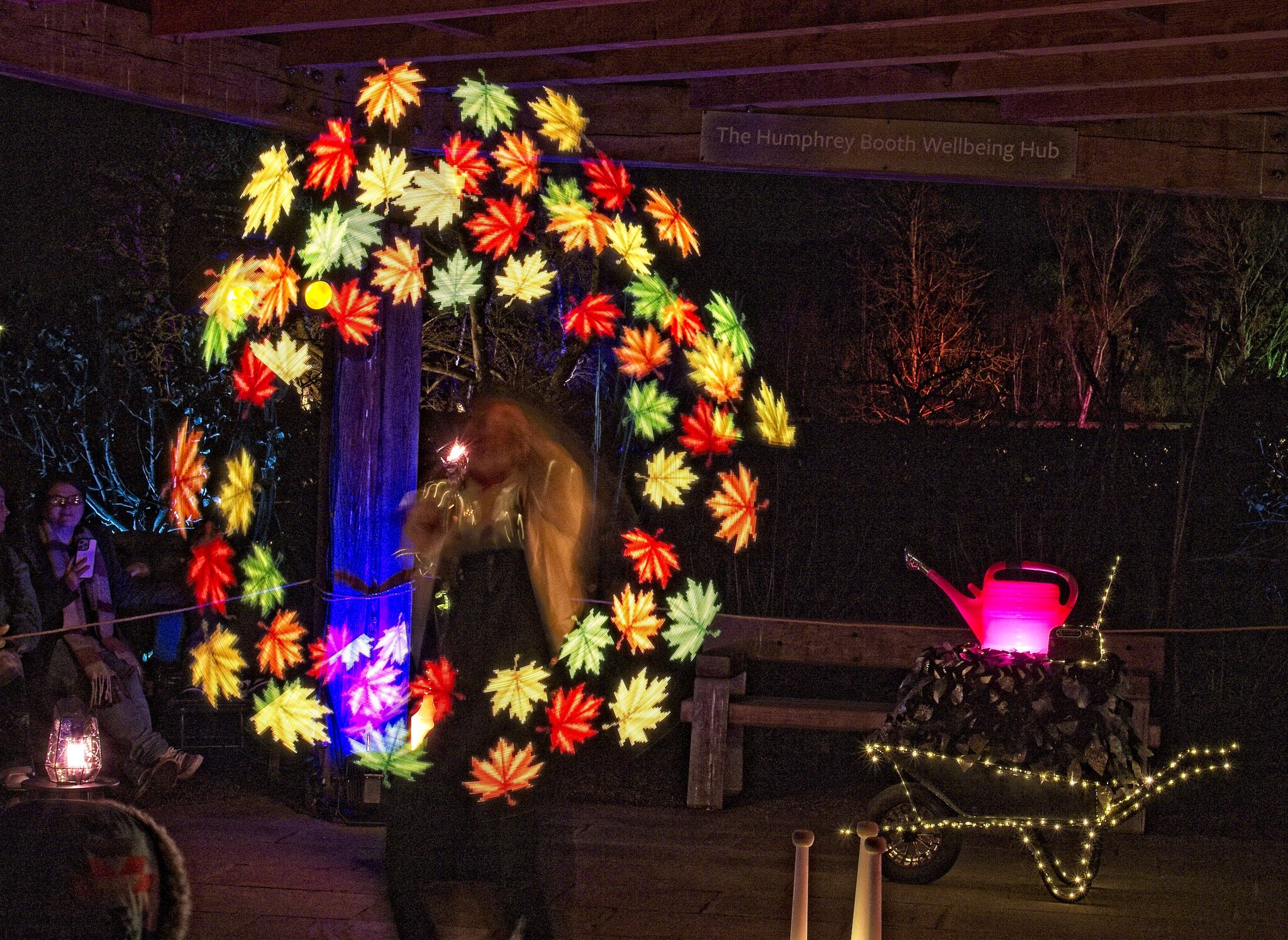 25A04280bridgewater glow moonlight gardener.jpg