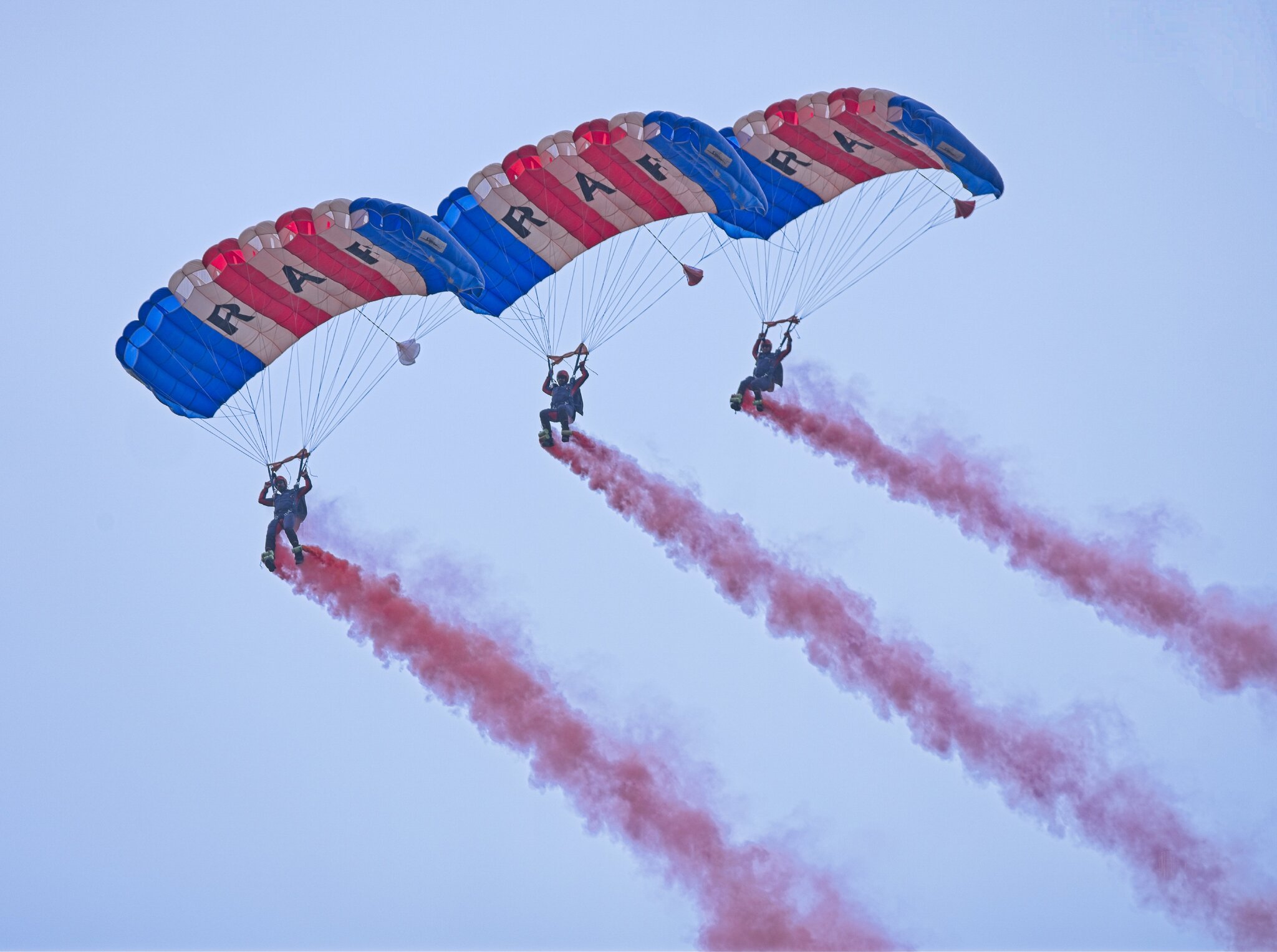 25A06153COSFORD falcons.jpg