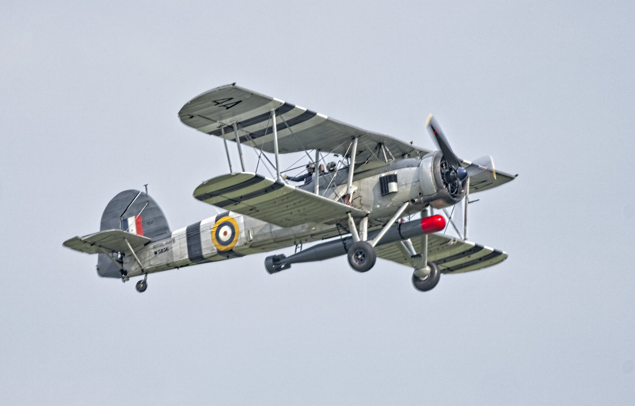 25A09456COSFORD swordfish.jpg