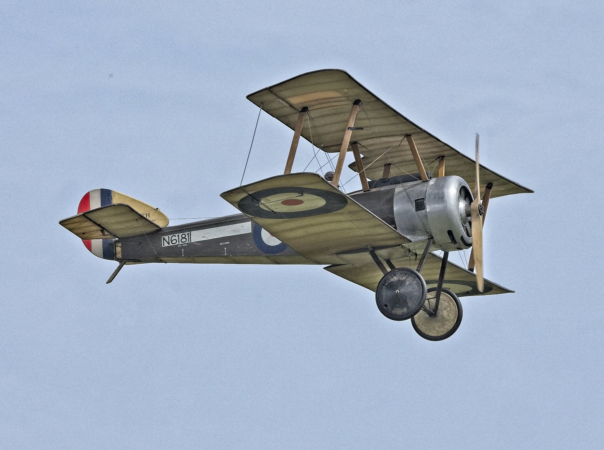 25A09903WESTON.jpg