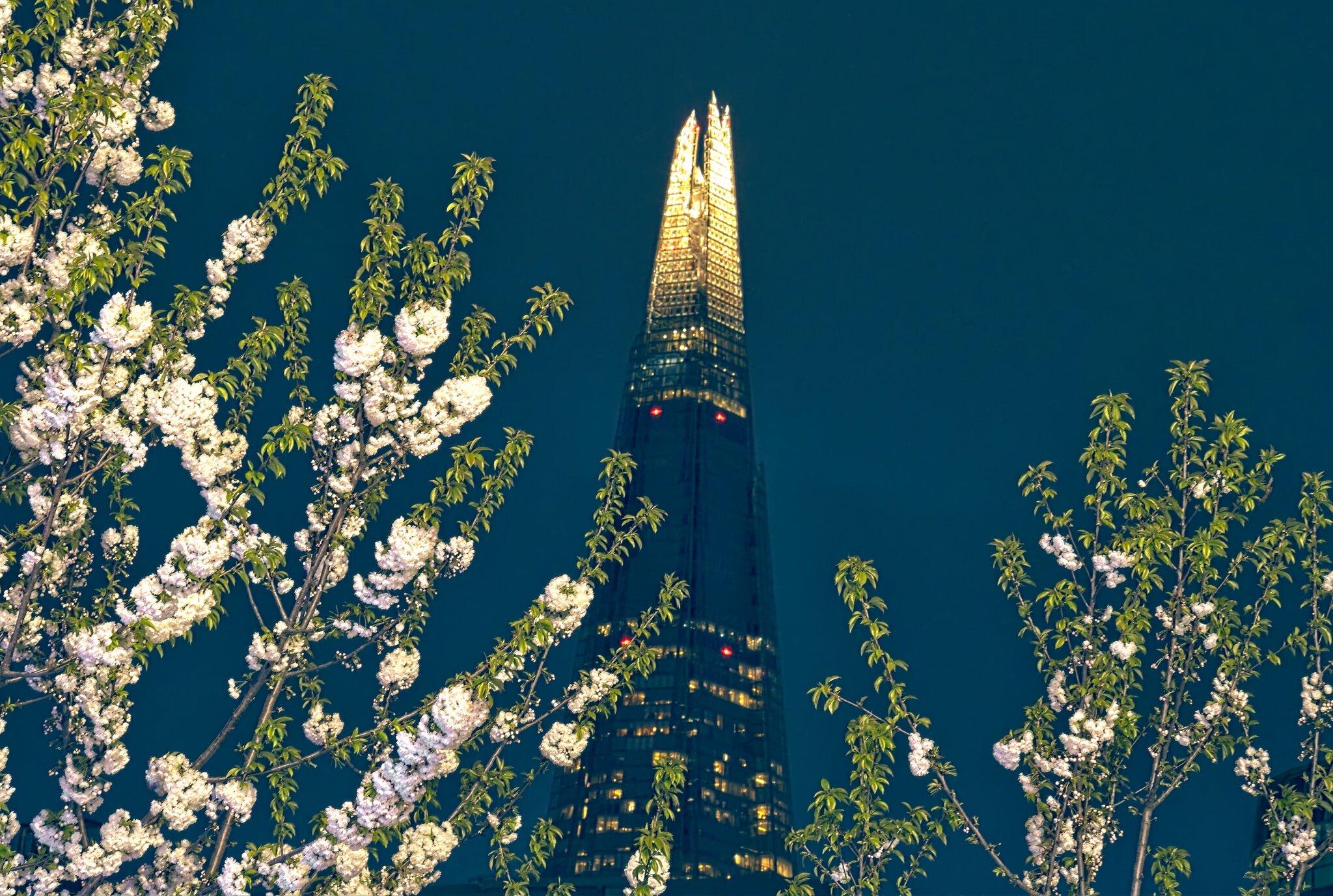 25S00055LONDON shard night.jpg