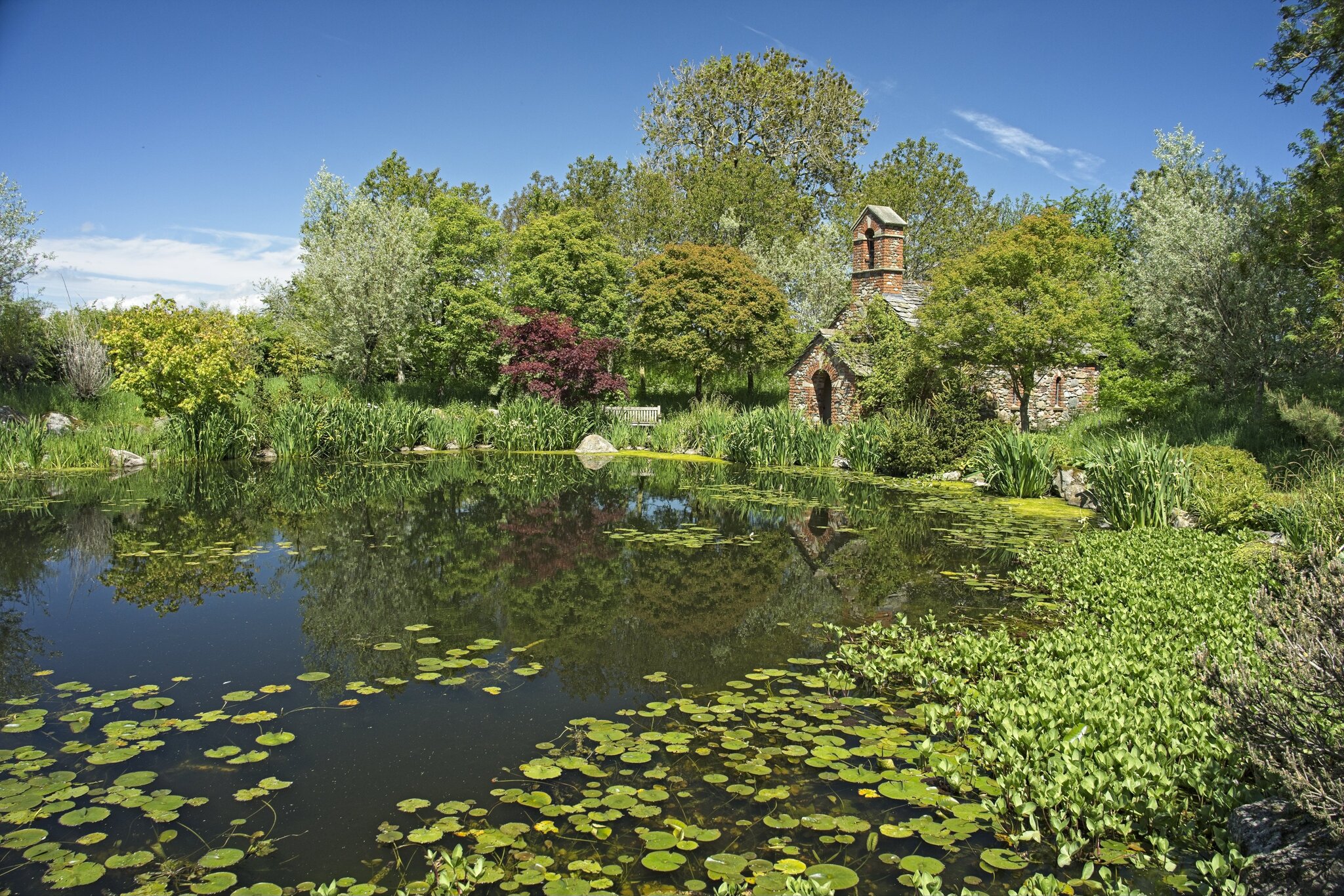 26A04775larch cottage garden.jpg