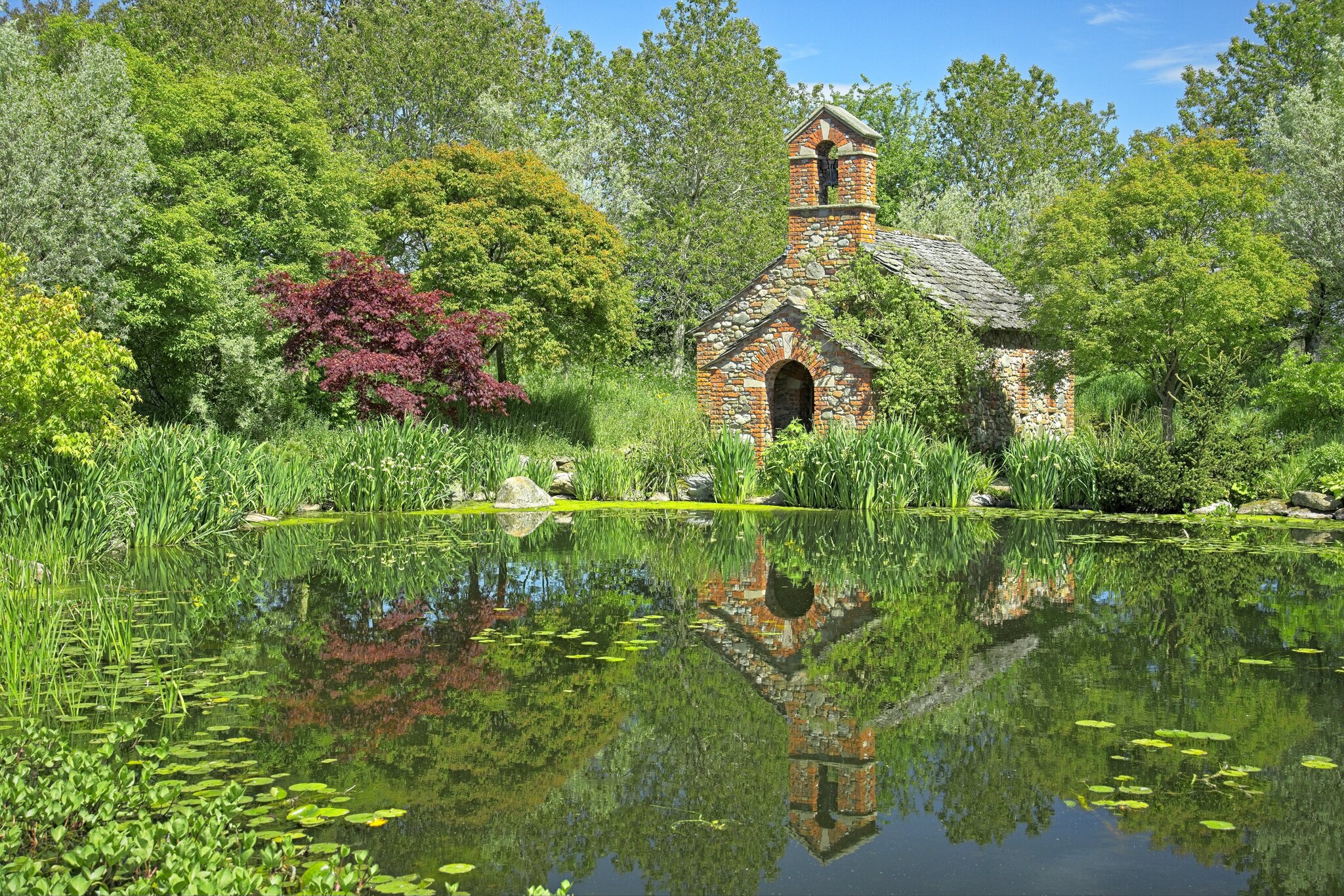 26A04780larch cottage garden.jpg