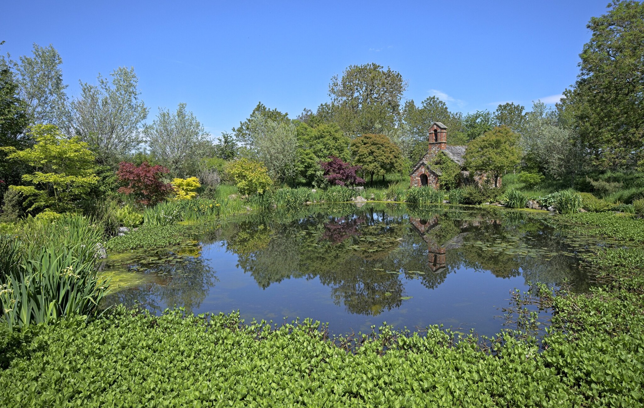26A04781larch cottage garden.jpg
