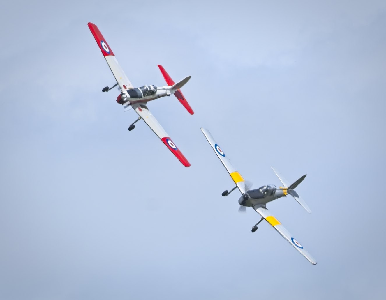 26A06814chipmunks.jpg