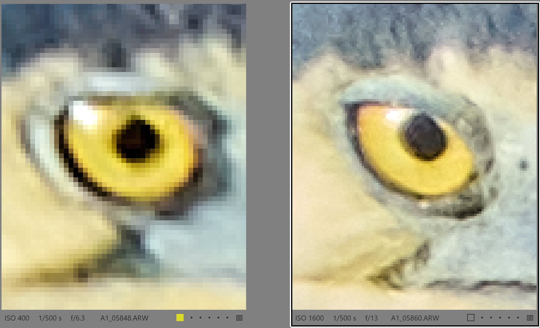 2xteleconverter1600vs800.jpg