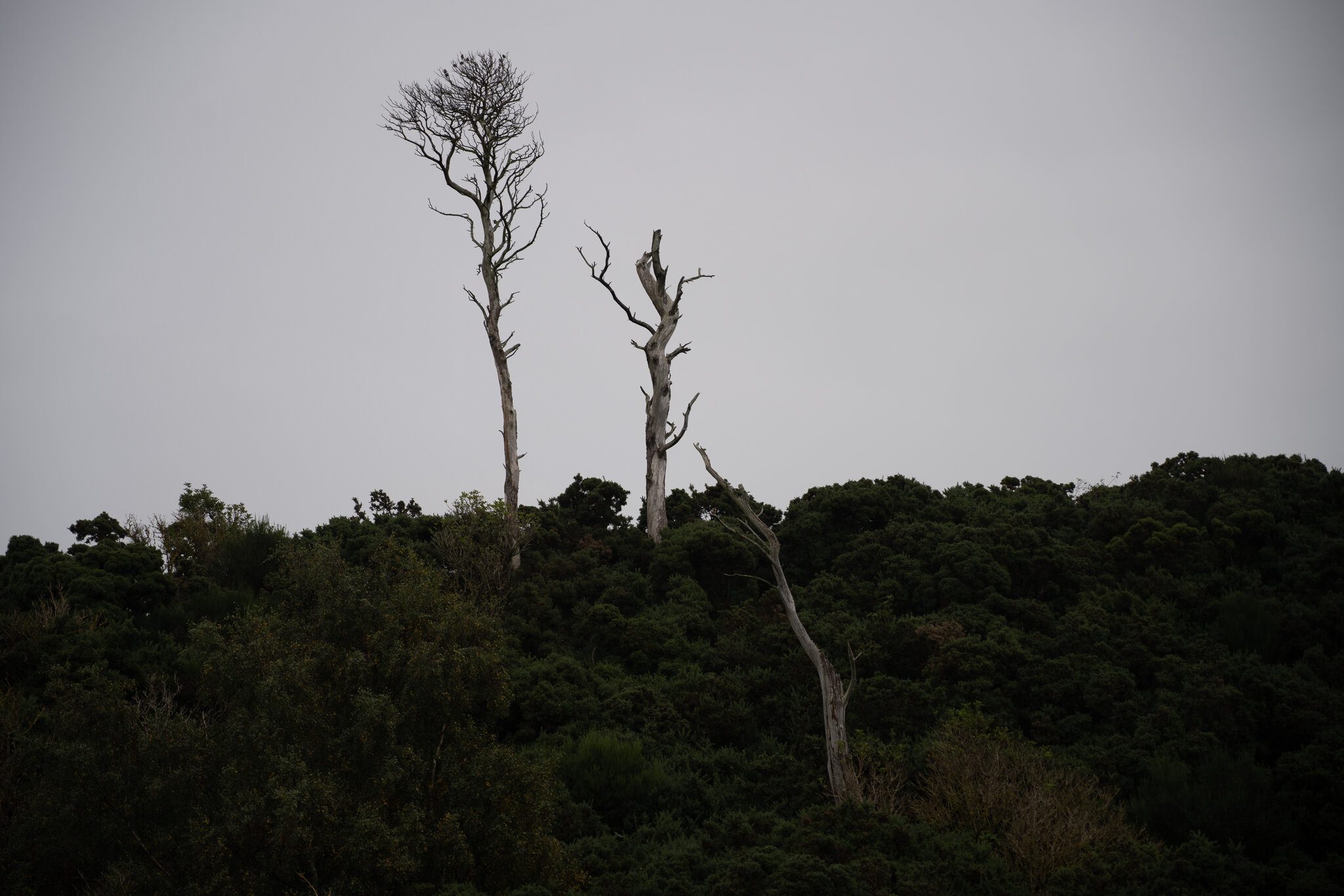 53D7E117-F1CD-4AEF-9303-4091DF295054.jpeg