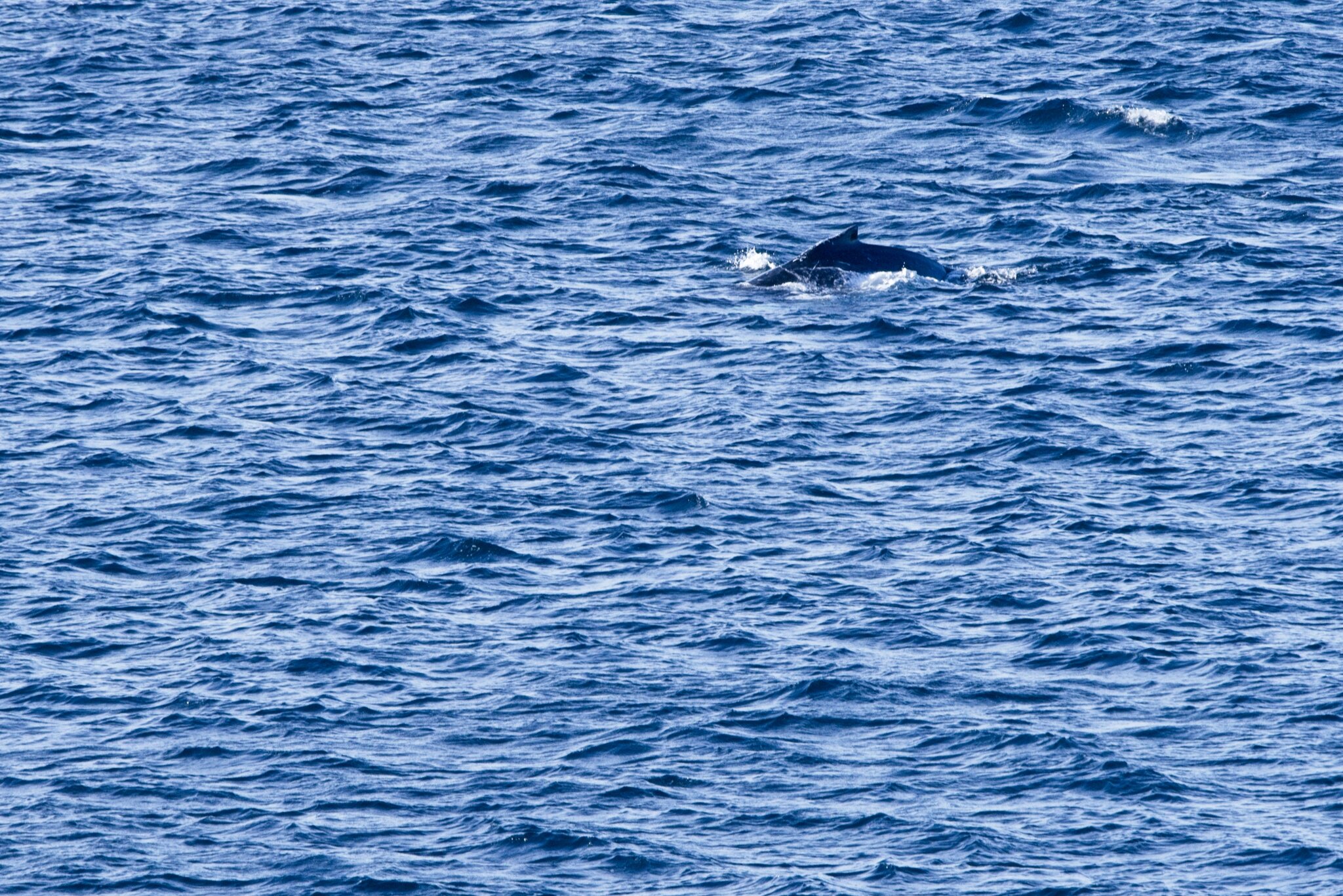 _7CR2759.jpg