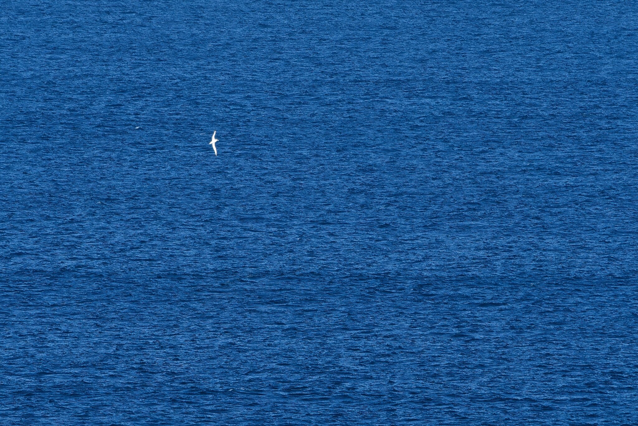 _7CR2765.jpg