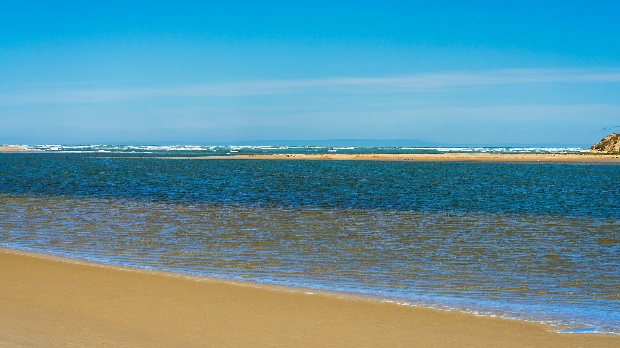 _7RV0302_Murray_Mouth.jpg