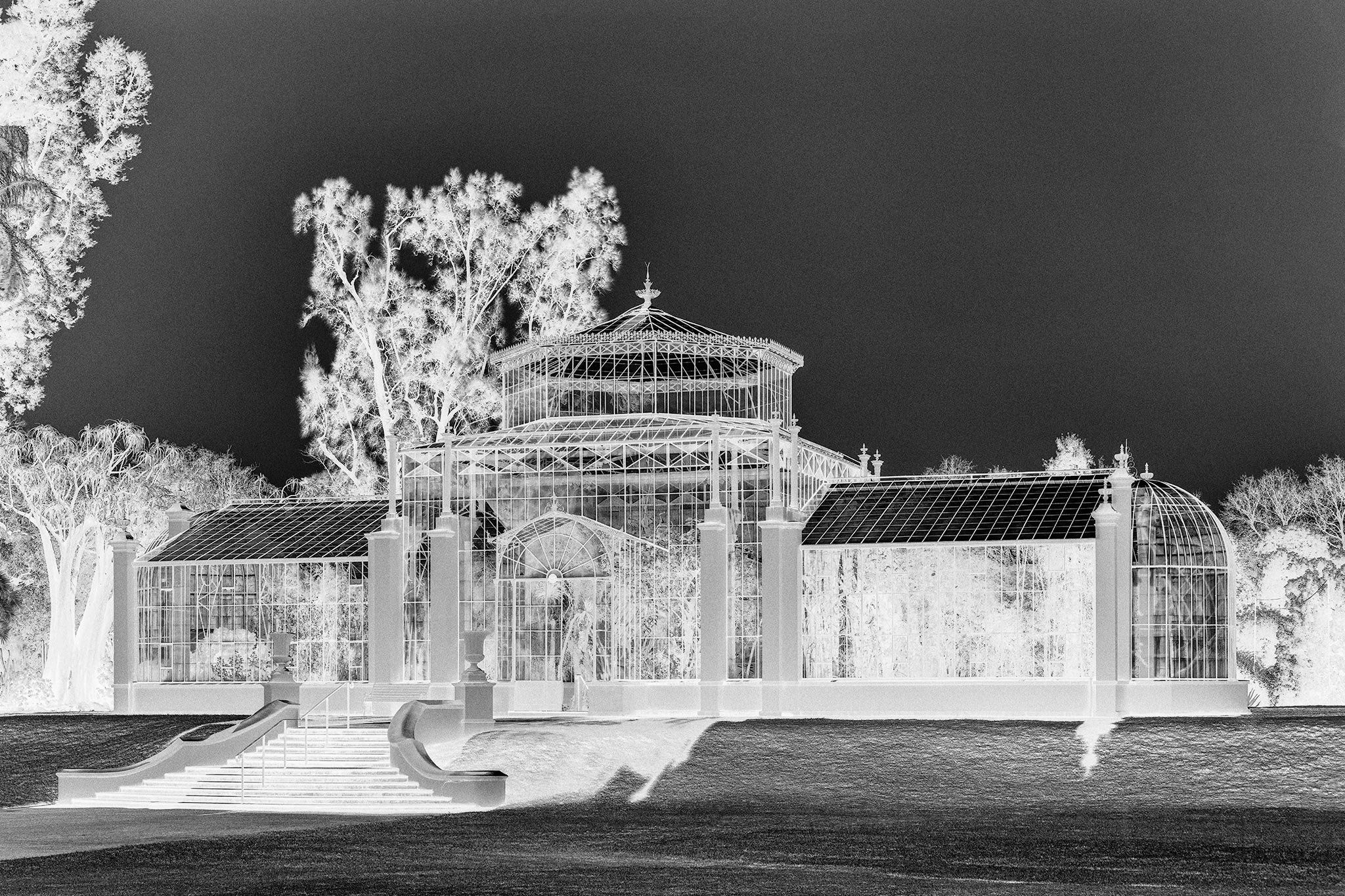 _7RV6072_IR_B&W.jpg