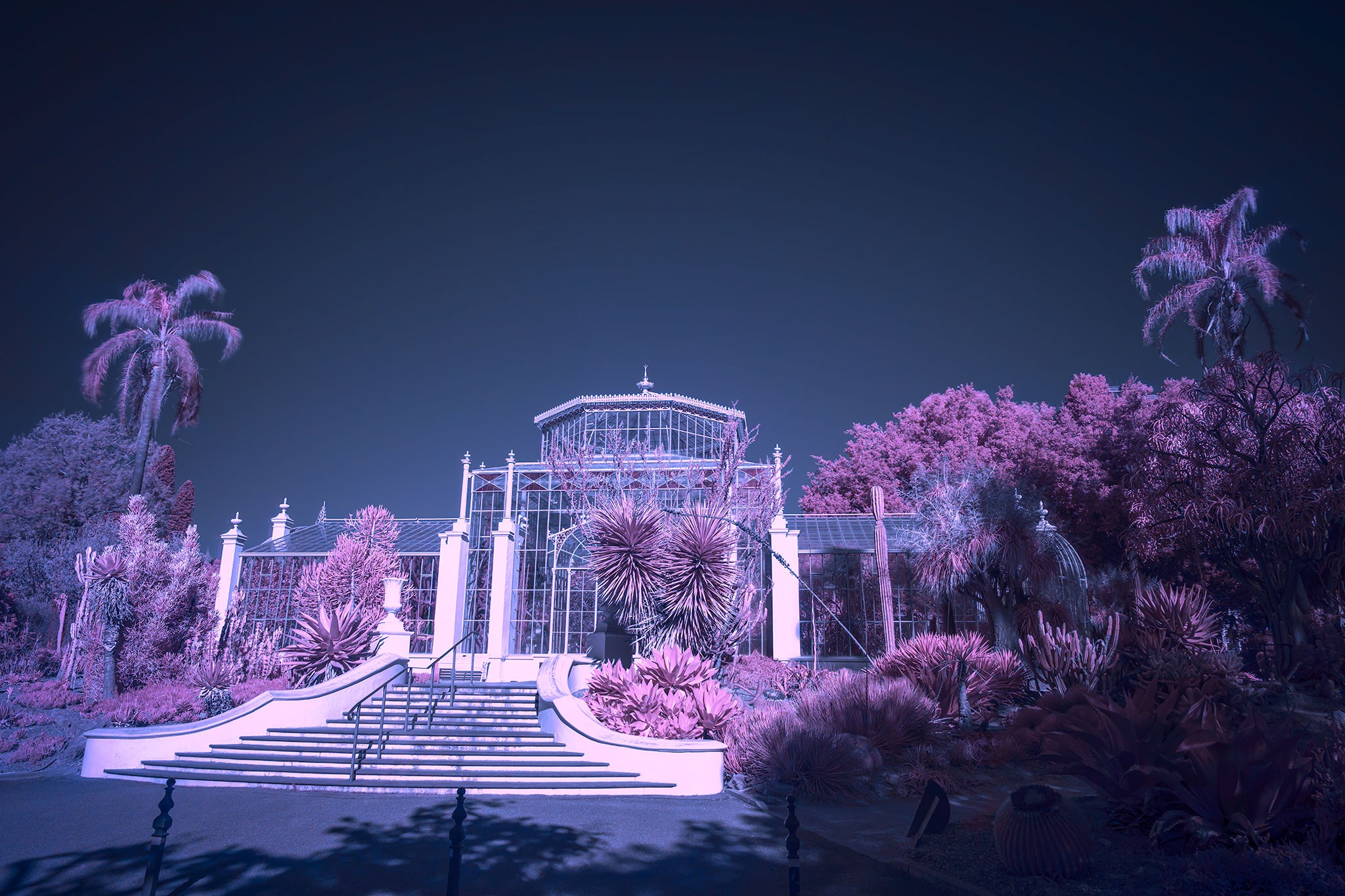 _7RV6080_Infra_Red_Test_1.jpg