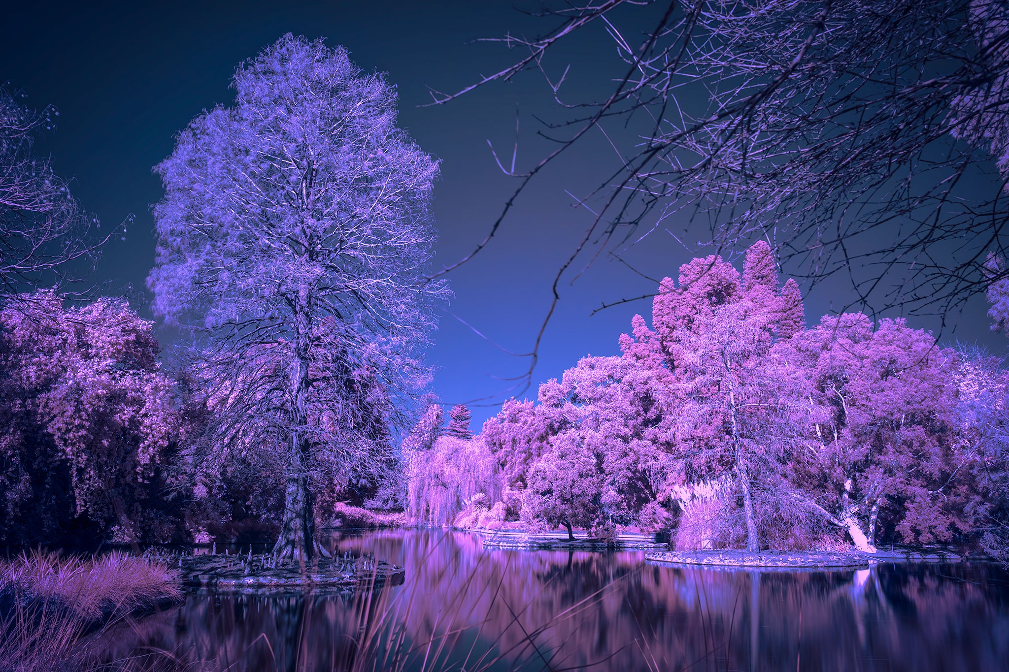 _7RV6085_Infra_Red_Test_2.jpg