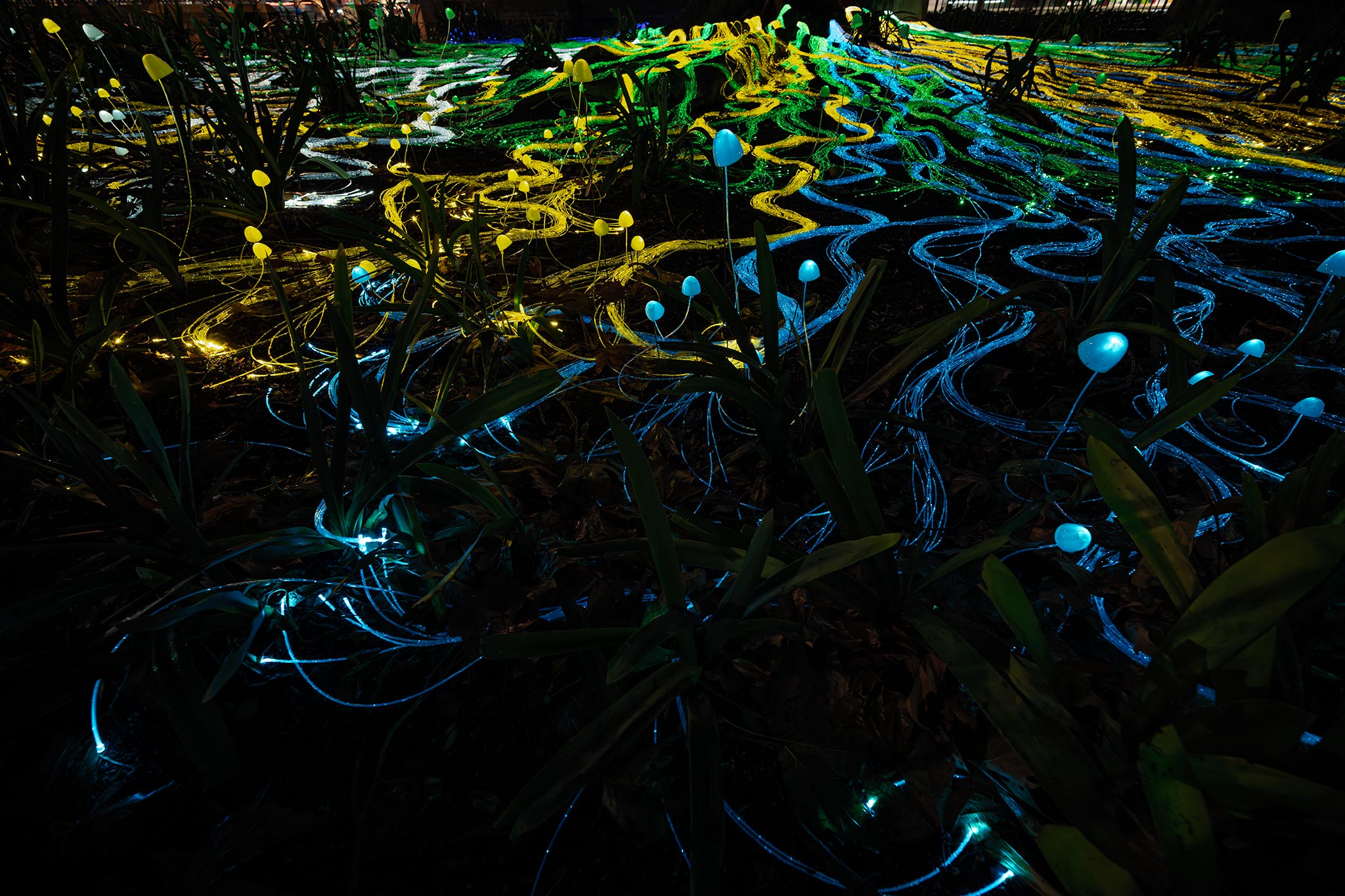 _7RV6216_Illuminate_Adelaide.jpg