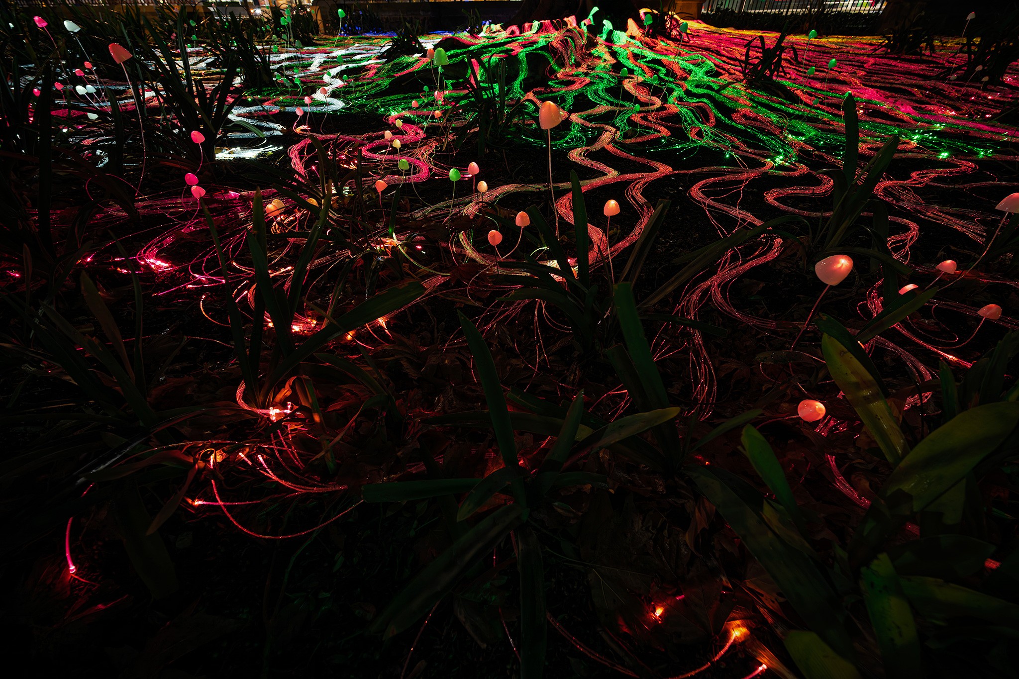 _7RV6217_Illuminate_Adelaide.jpg