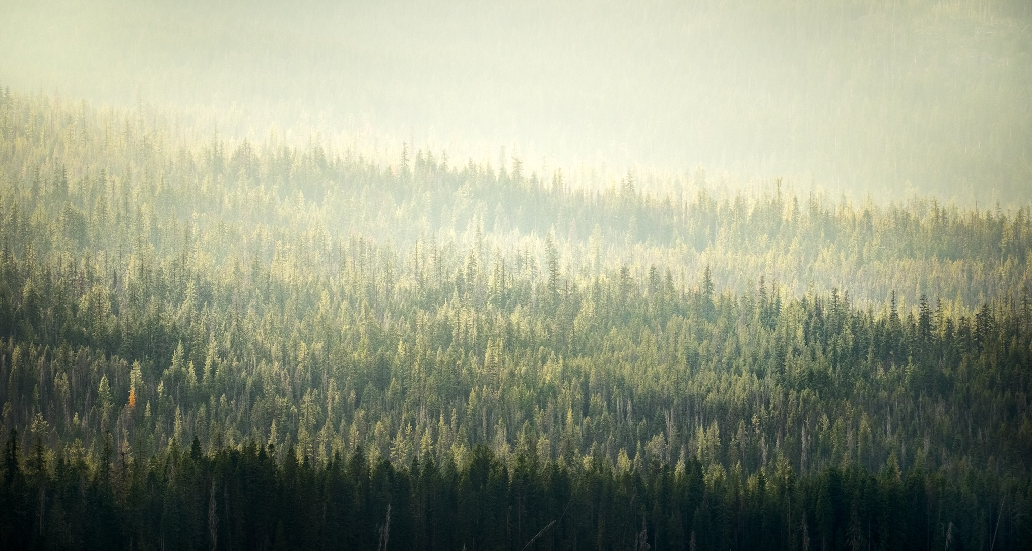_A1_0880-Edit.jpg