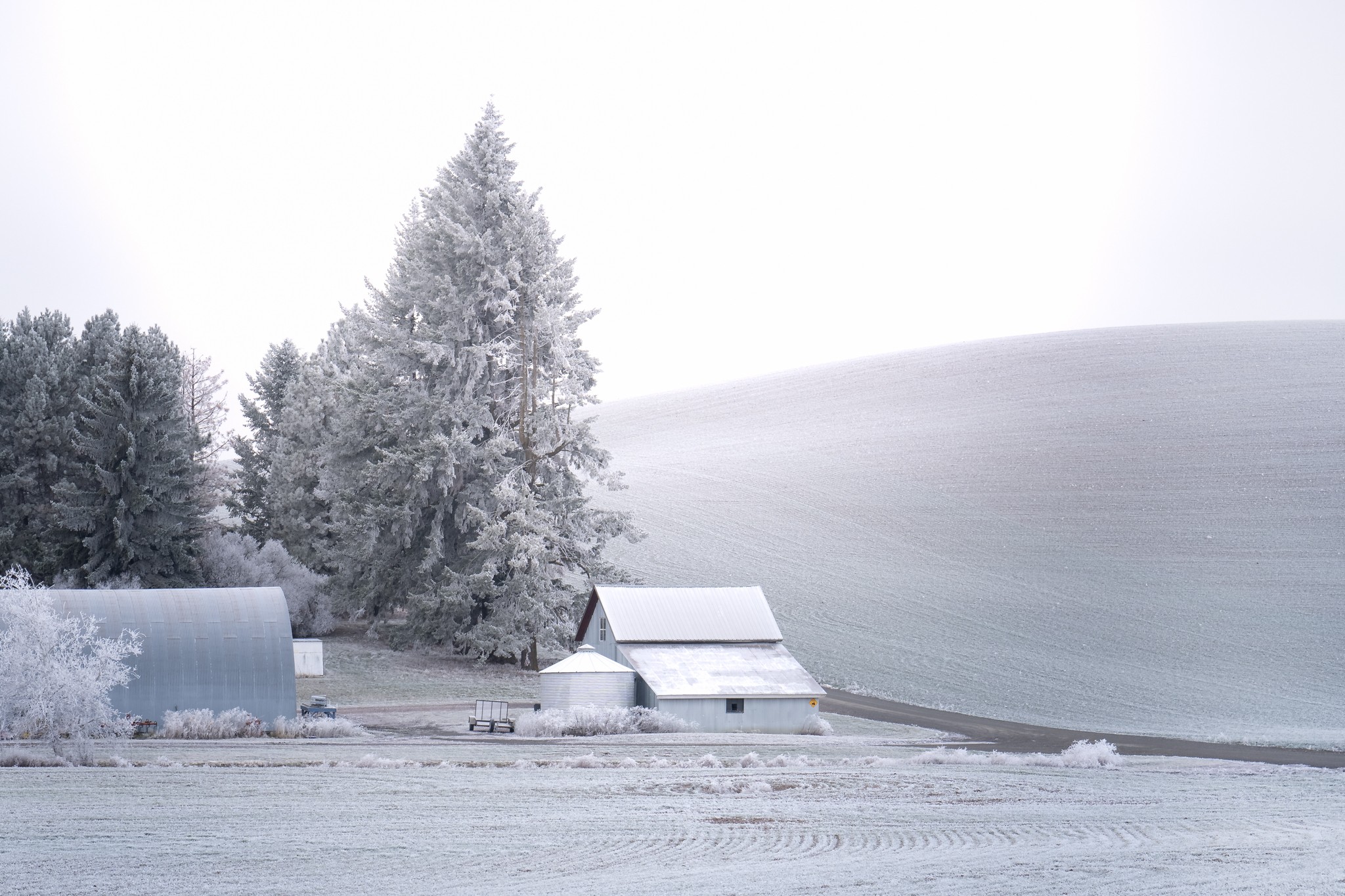 _A1_3176-HDR-Edit.jpg