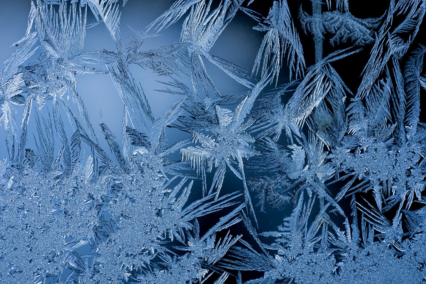 _A1_6403.jpg