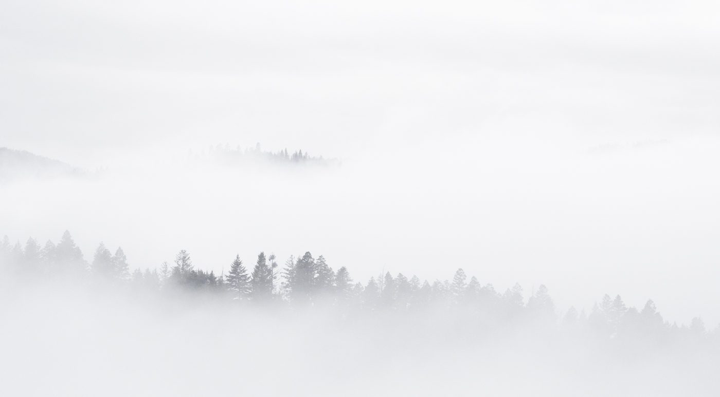_A1_9579-Edit.jpg