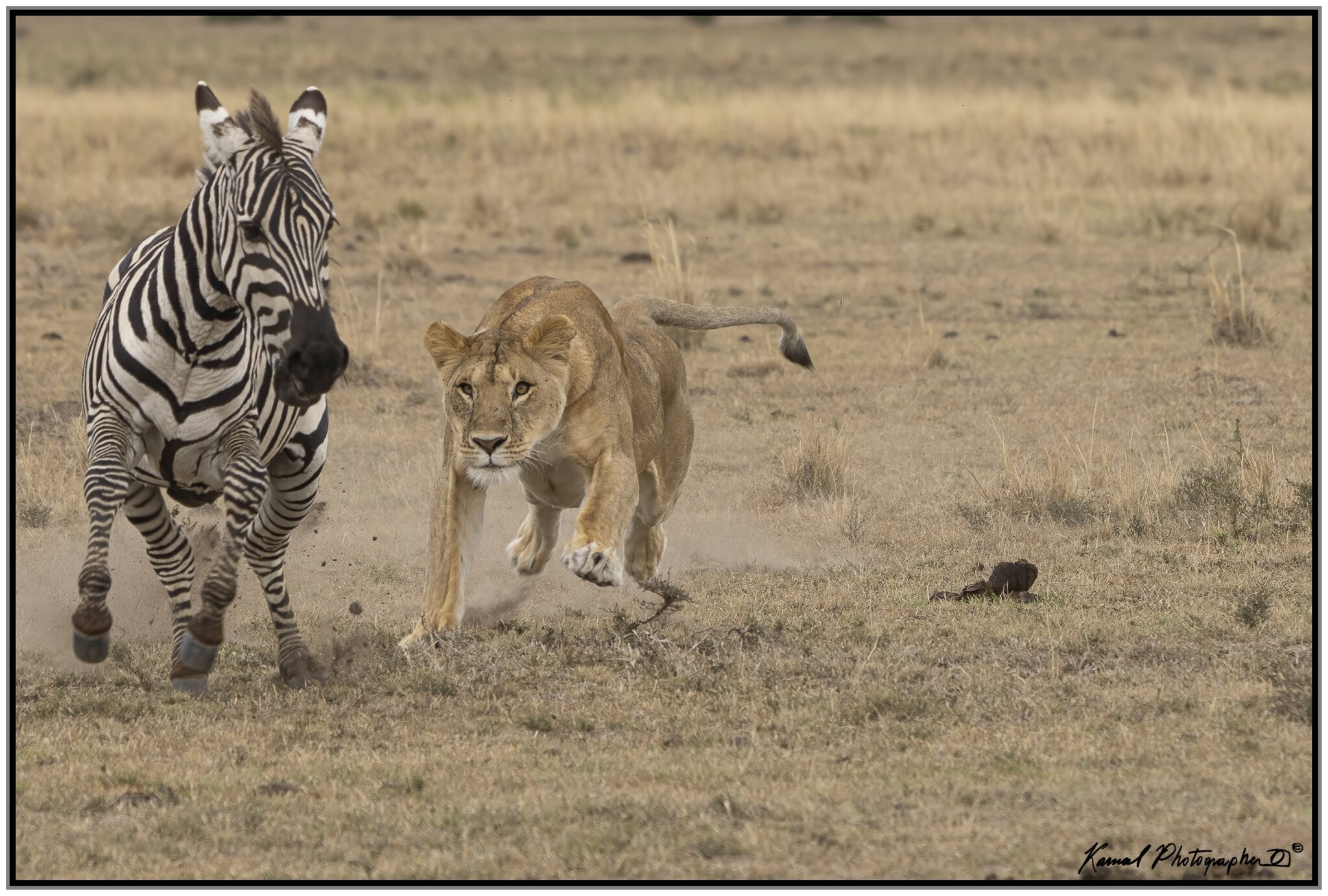 _A745235-Modifica (fred300).jpg