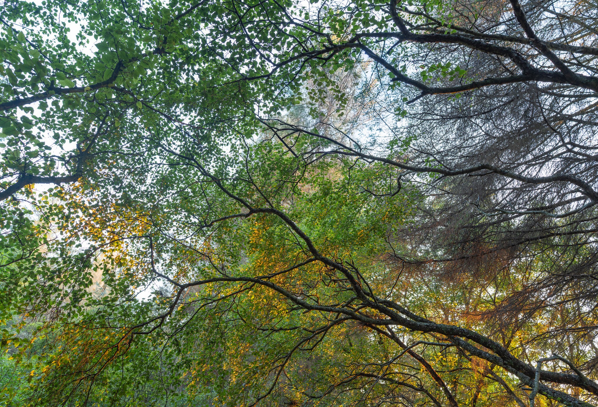 _DSC2410-Edit-5.jpg
