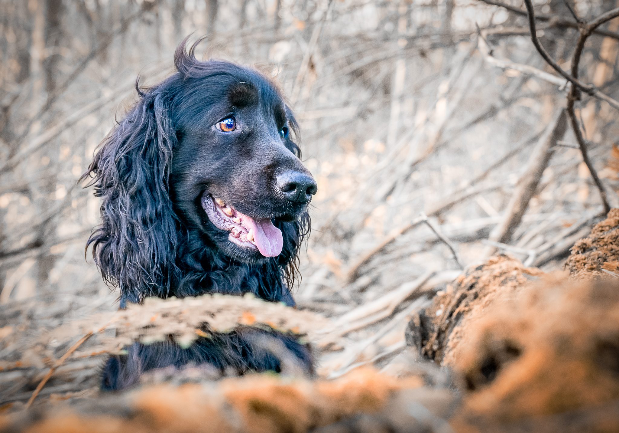 _DSC2575-Edit-Facebook Photos-2.jpg