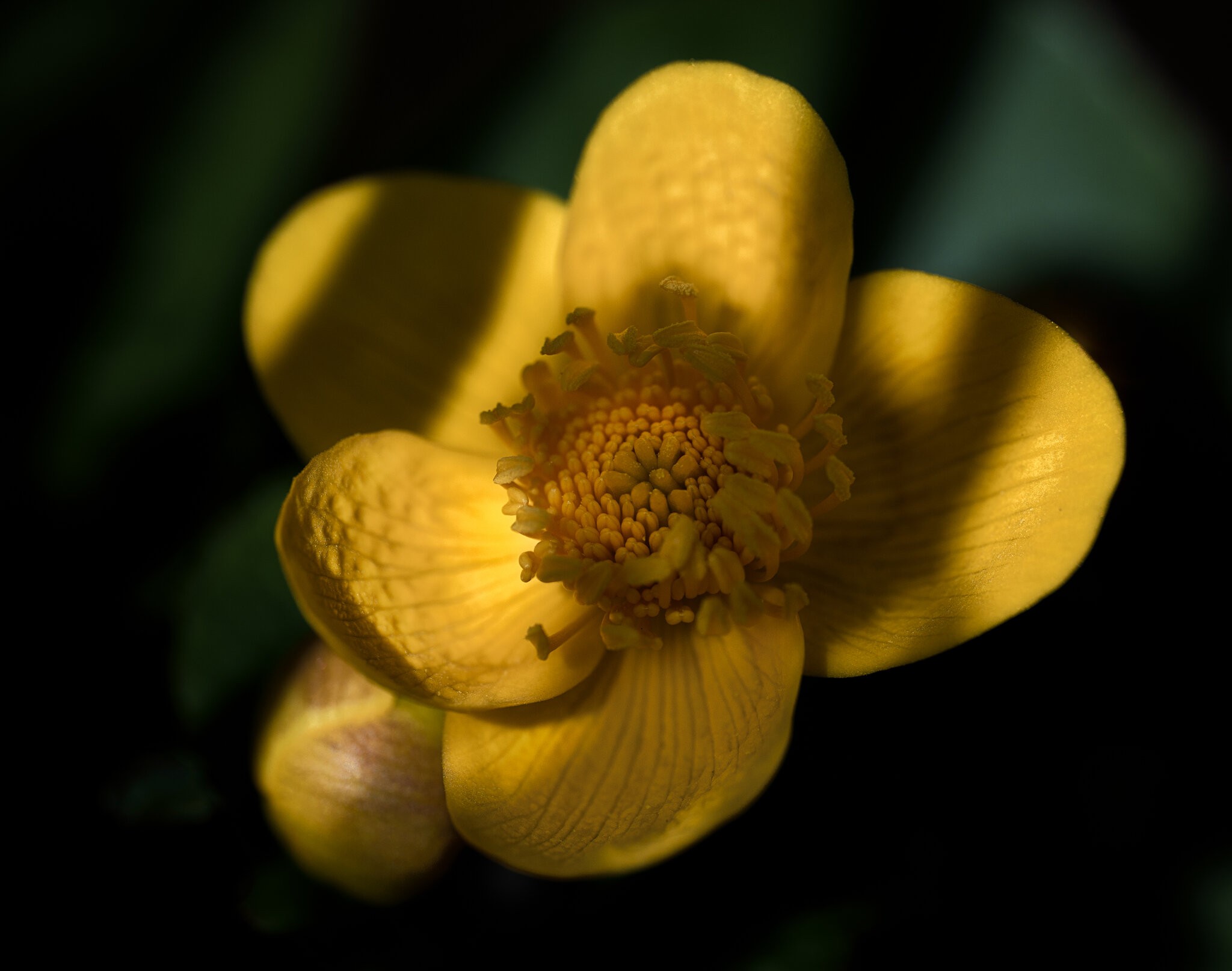 _DSC2964-Edit.jpg
