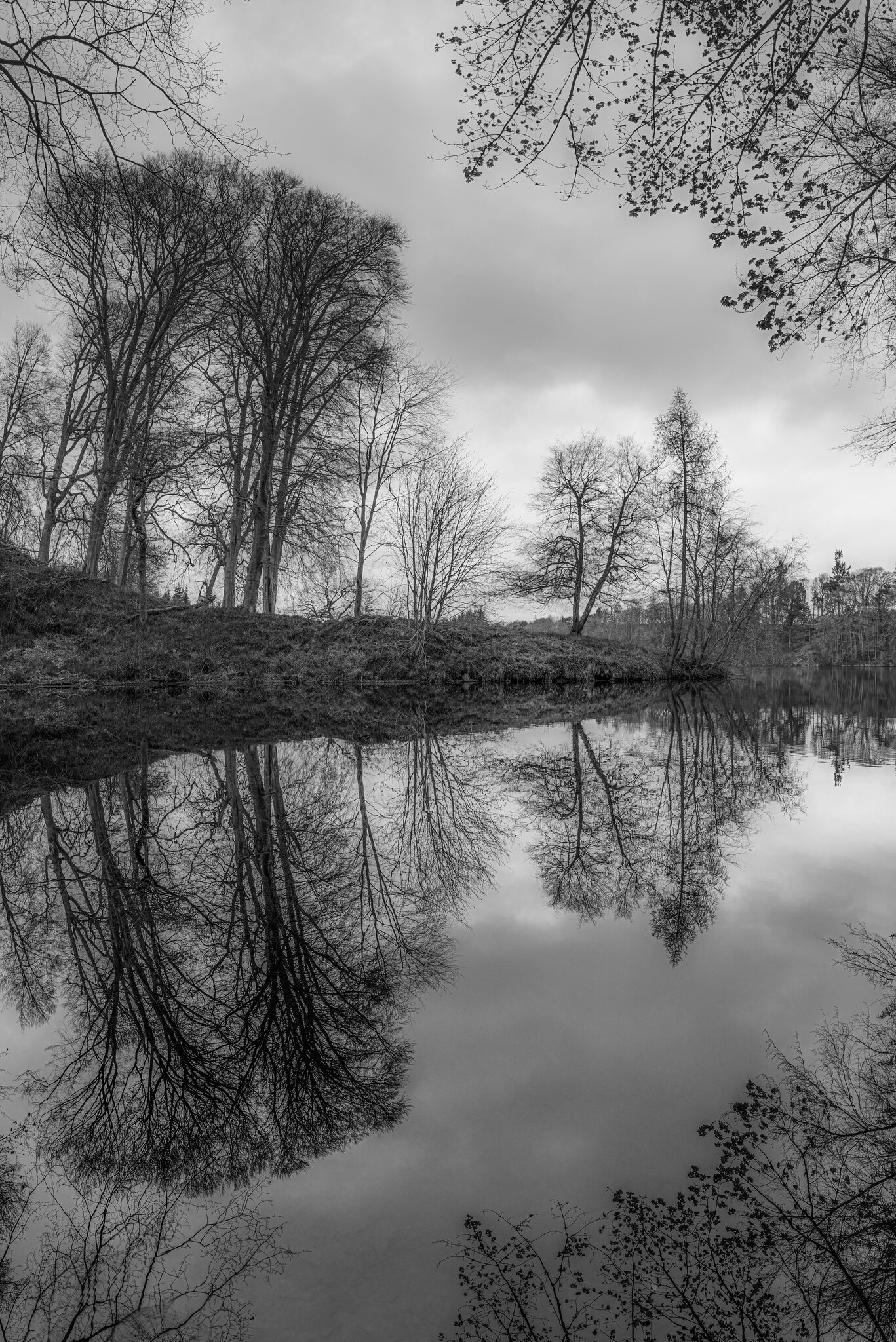 _DSC3915-Pano-Edit.jpg