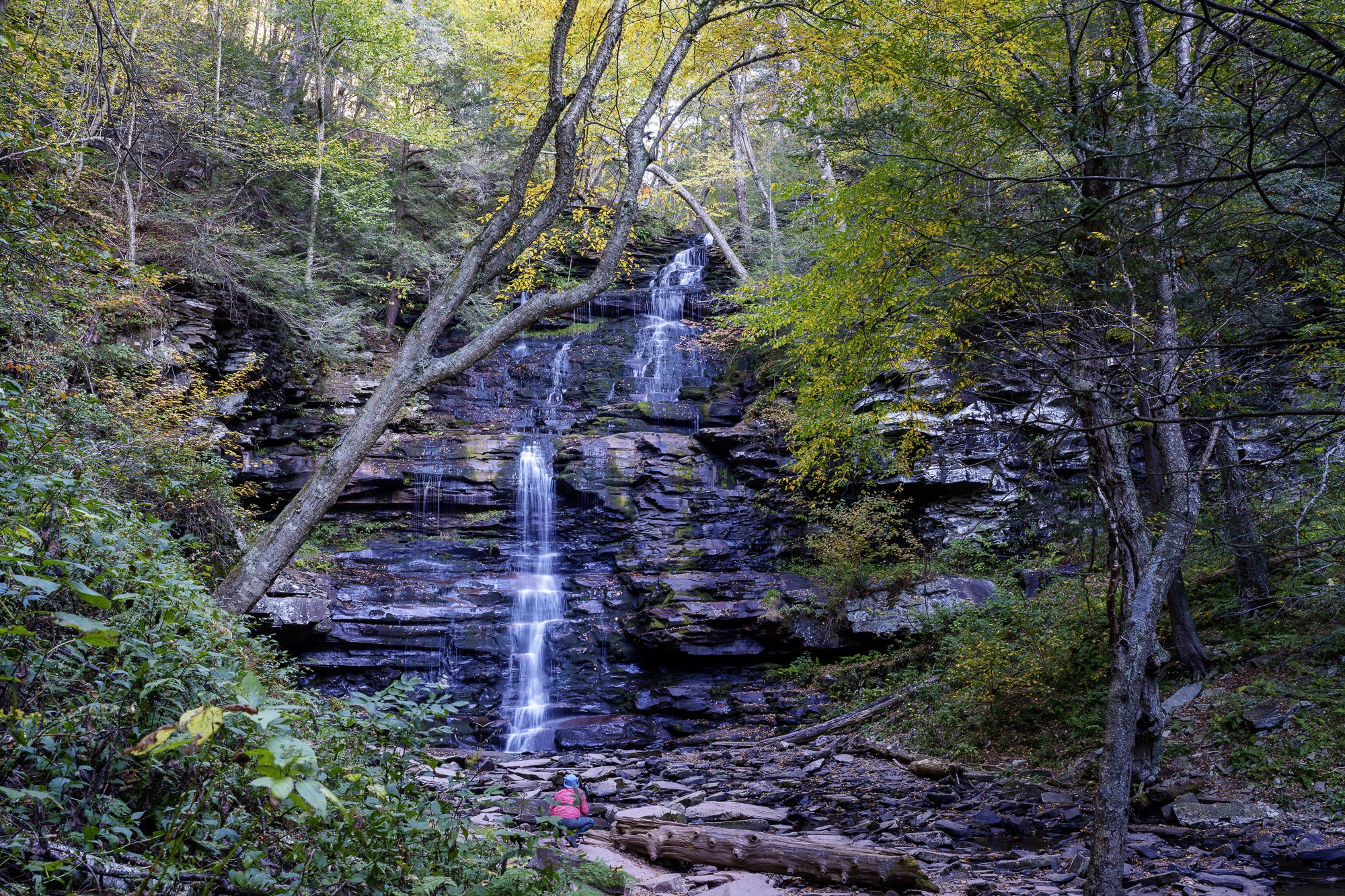 _DSC6690.jpg