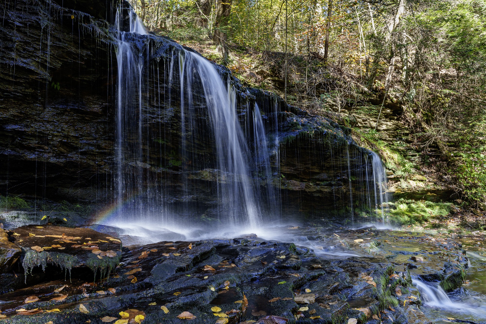 _DSC6736.jpg