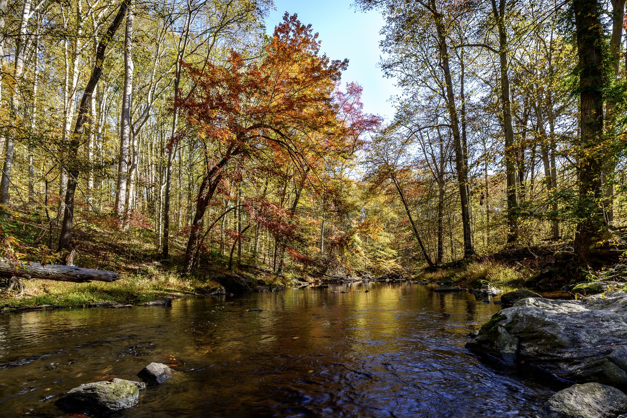 _DSC6966.jpg