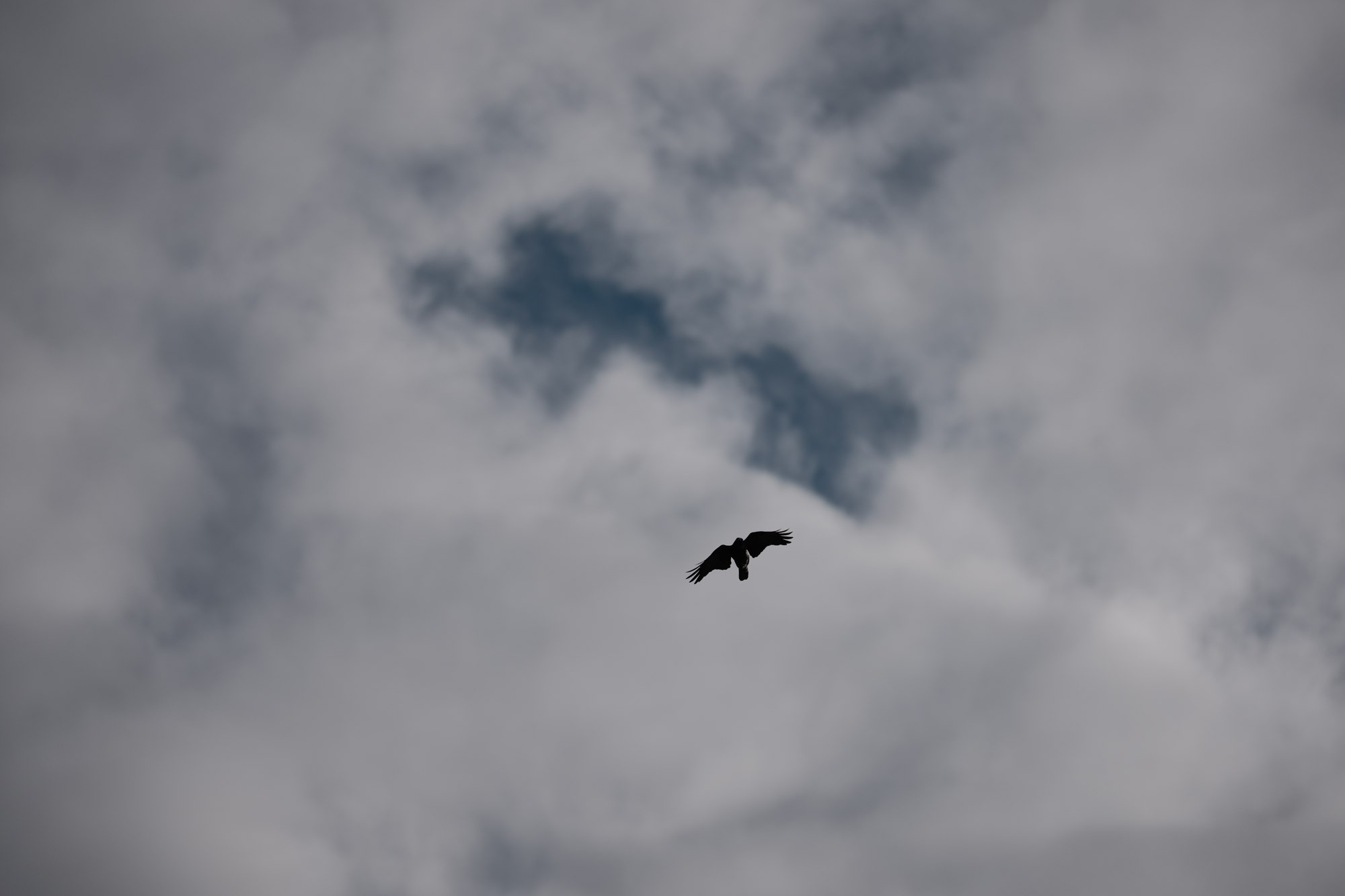 A1251858f2k.jpg