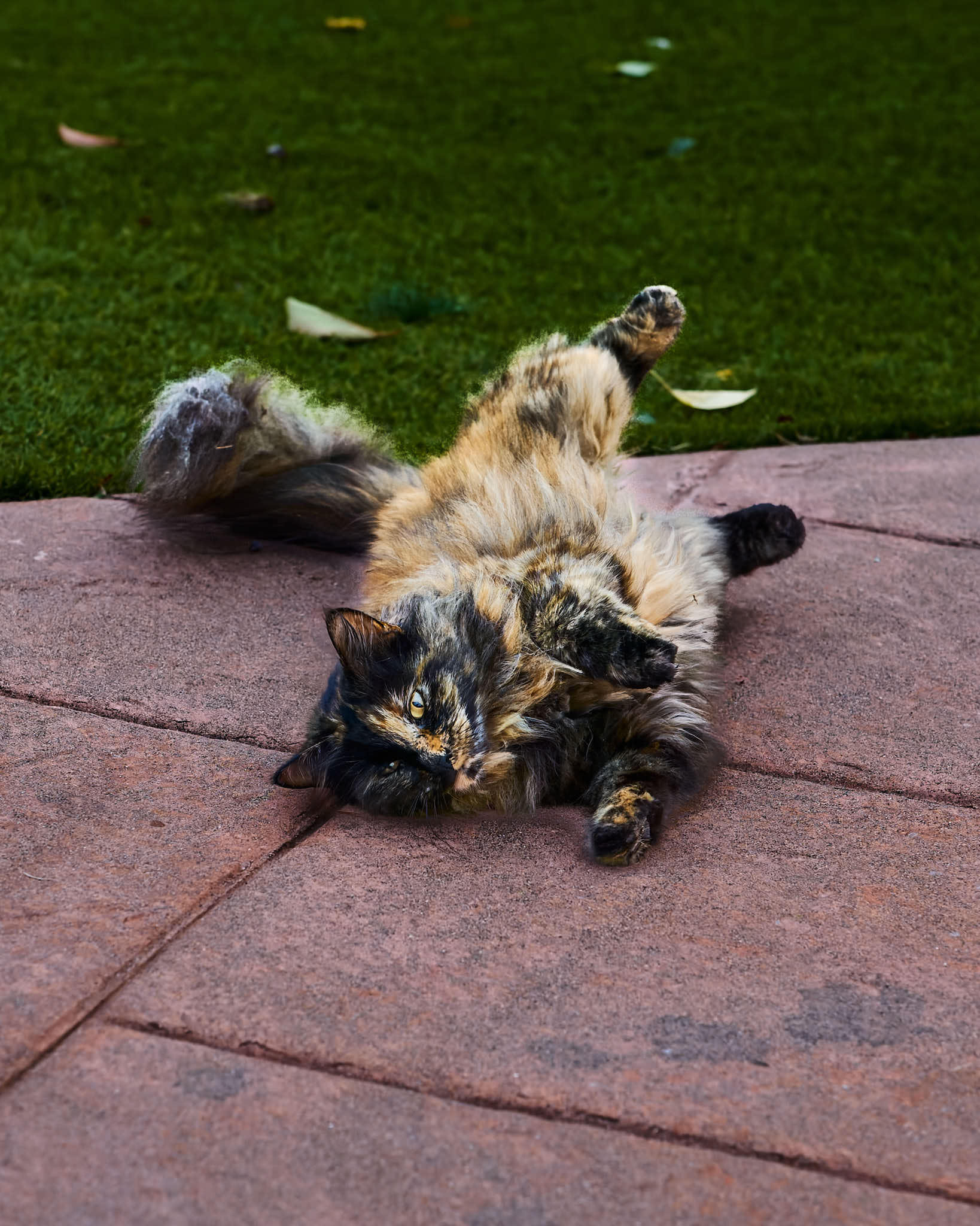 A1_05567.jpg