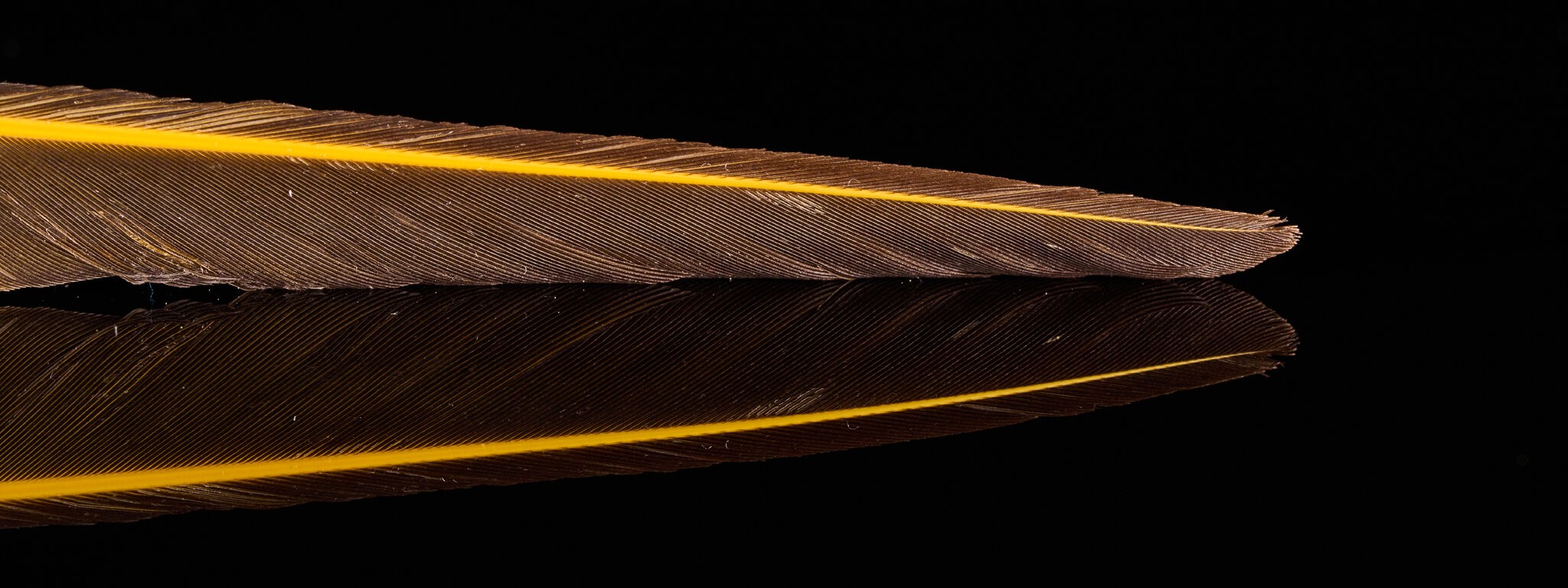 A1_07208.jpg