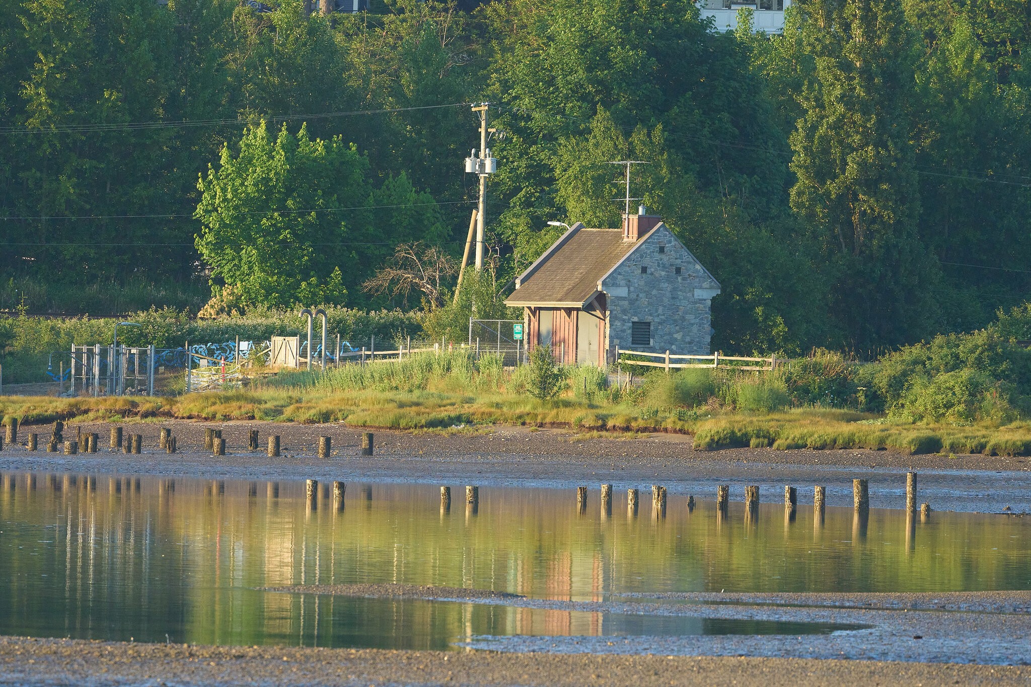 A1_08010.jpg