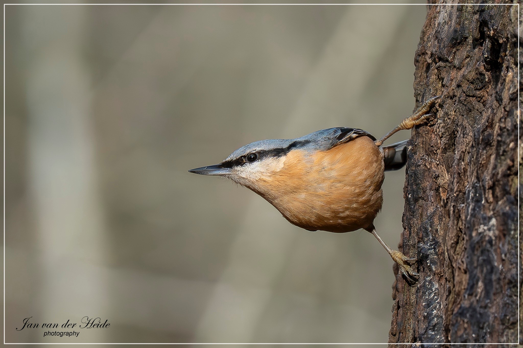 A7407143-Verbeterd-NR.jpg