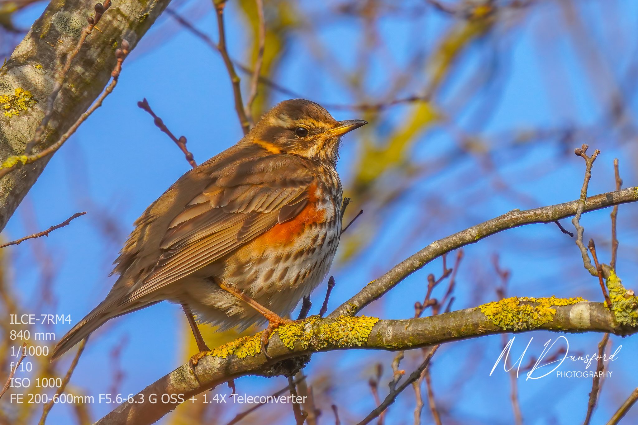 A7R02107-Edit fbOL.JPG