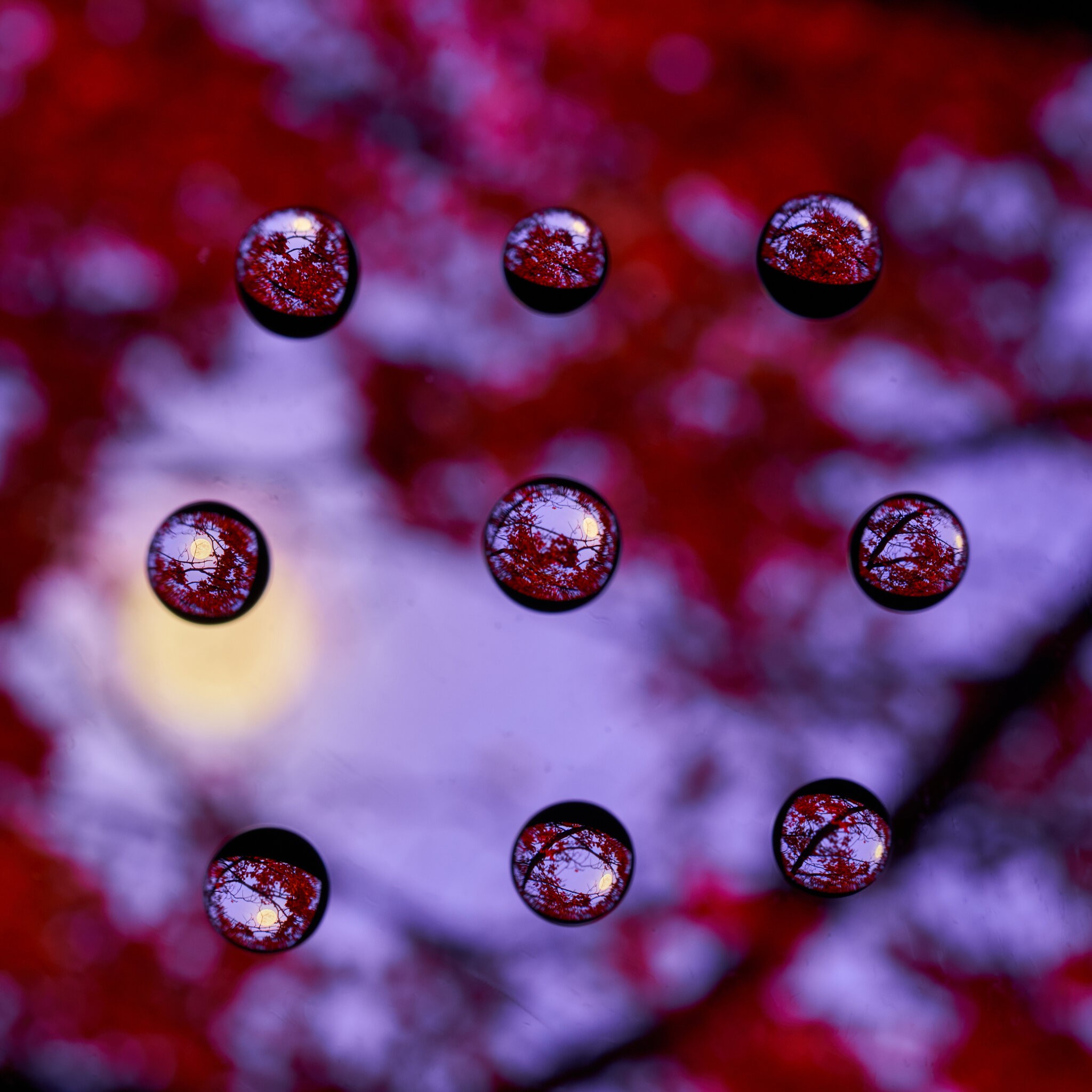 A7R03781.jpg