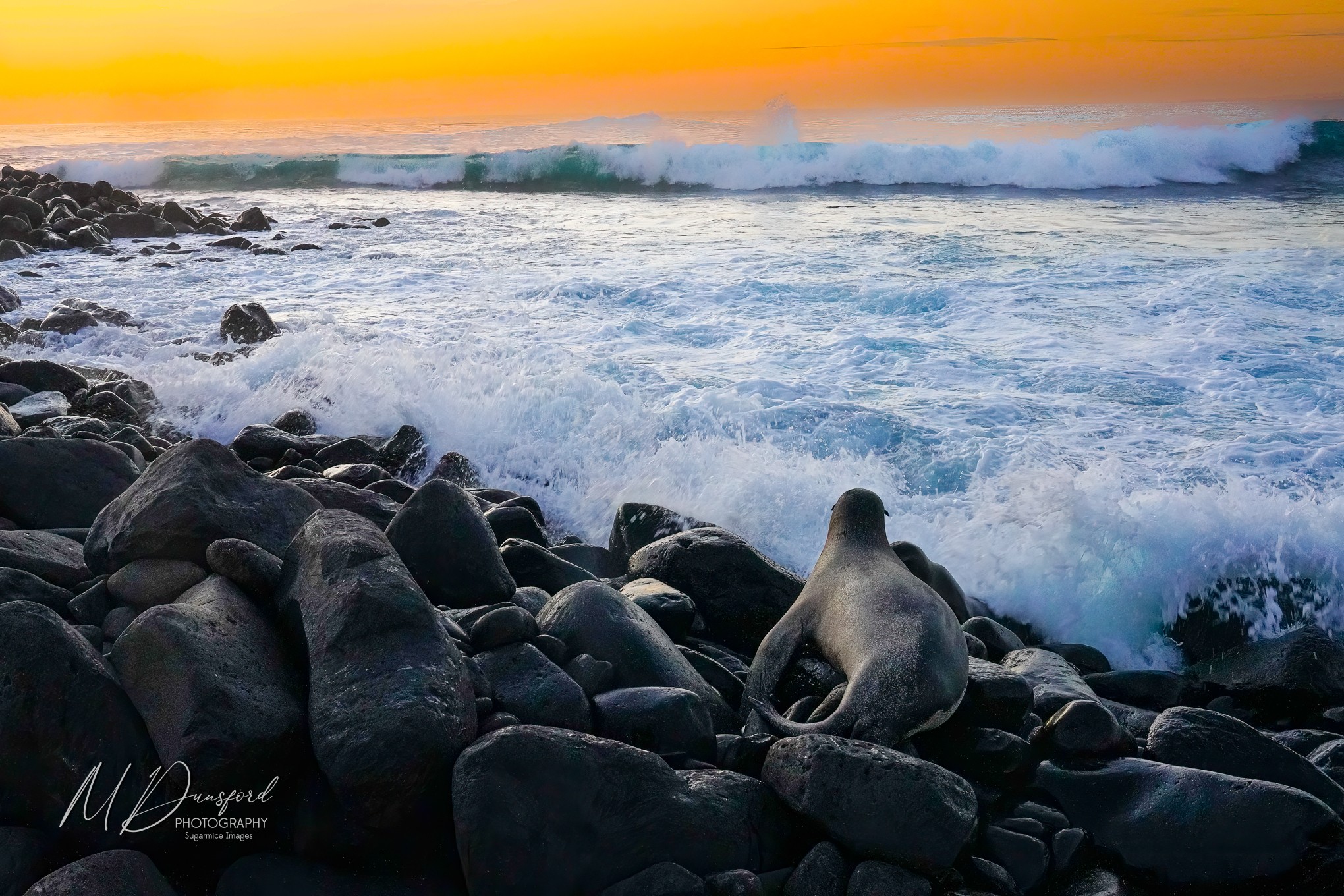 A7R07445-Edit FBWM new.JPG