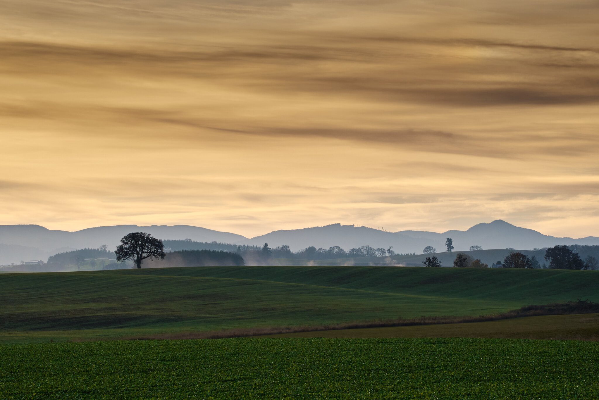 A7S03349c1v1.jpg